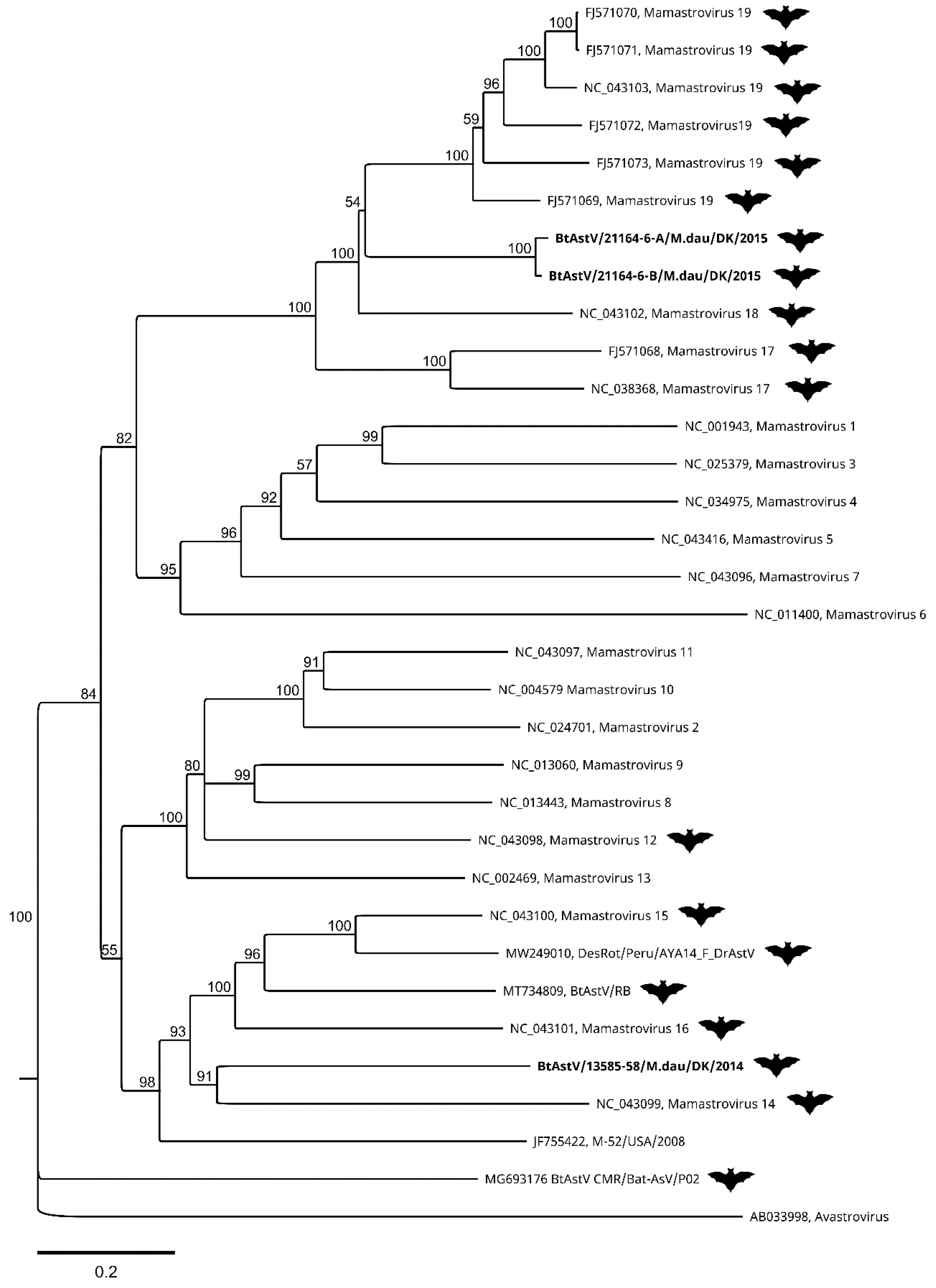 Viruses 13 01073 g003 Viruses 13 01073 g003