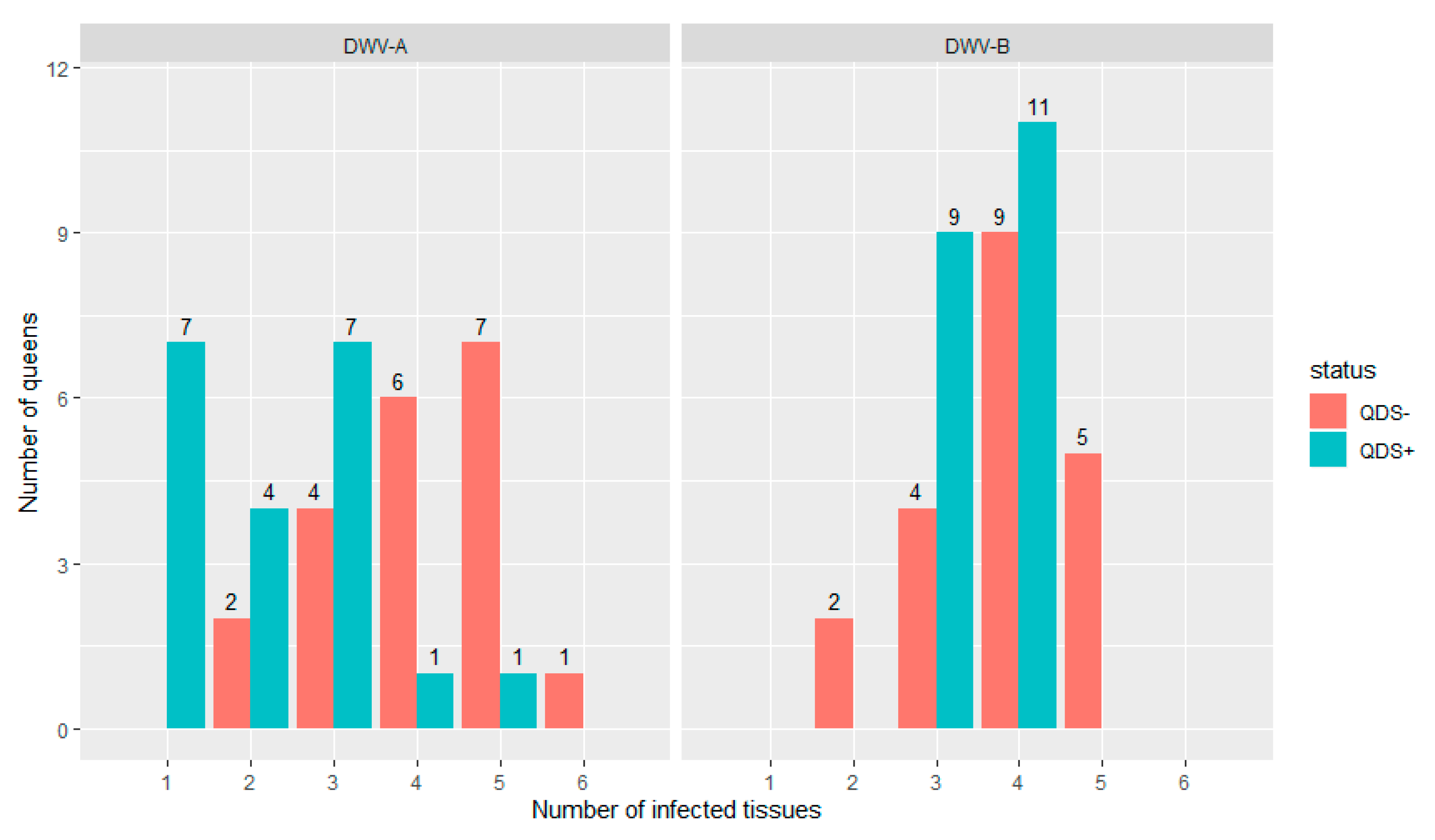 Viruses 13 01074 g001