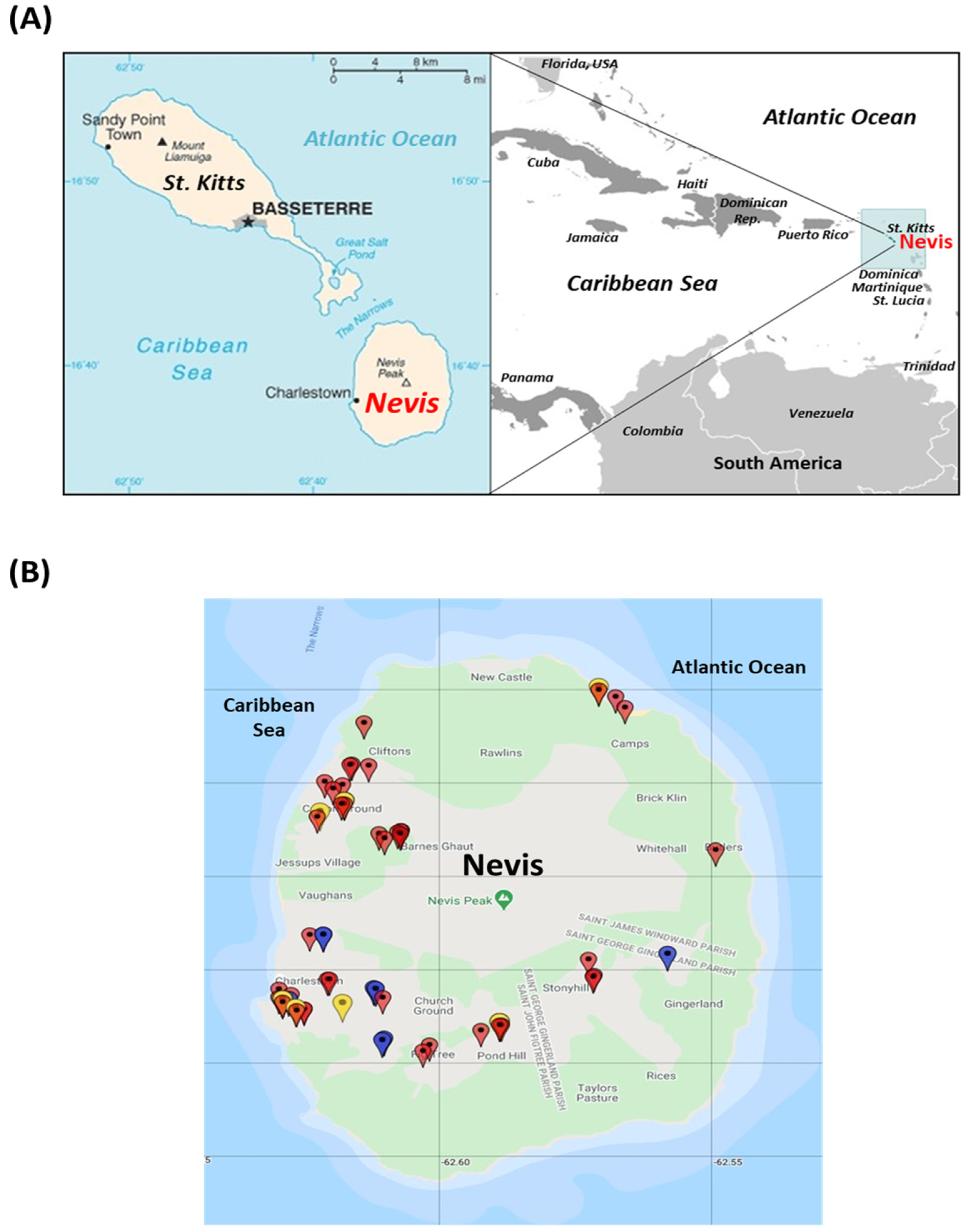 Viruses 13 01083 g001