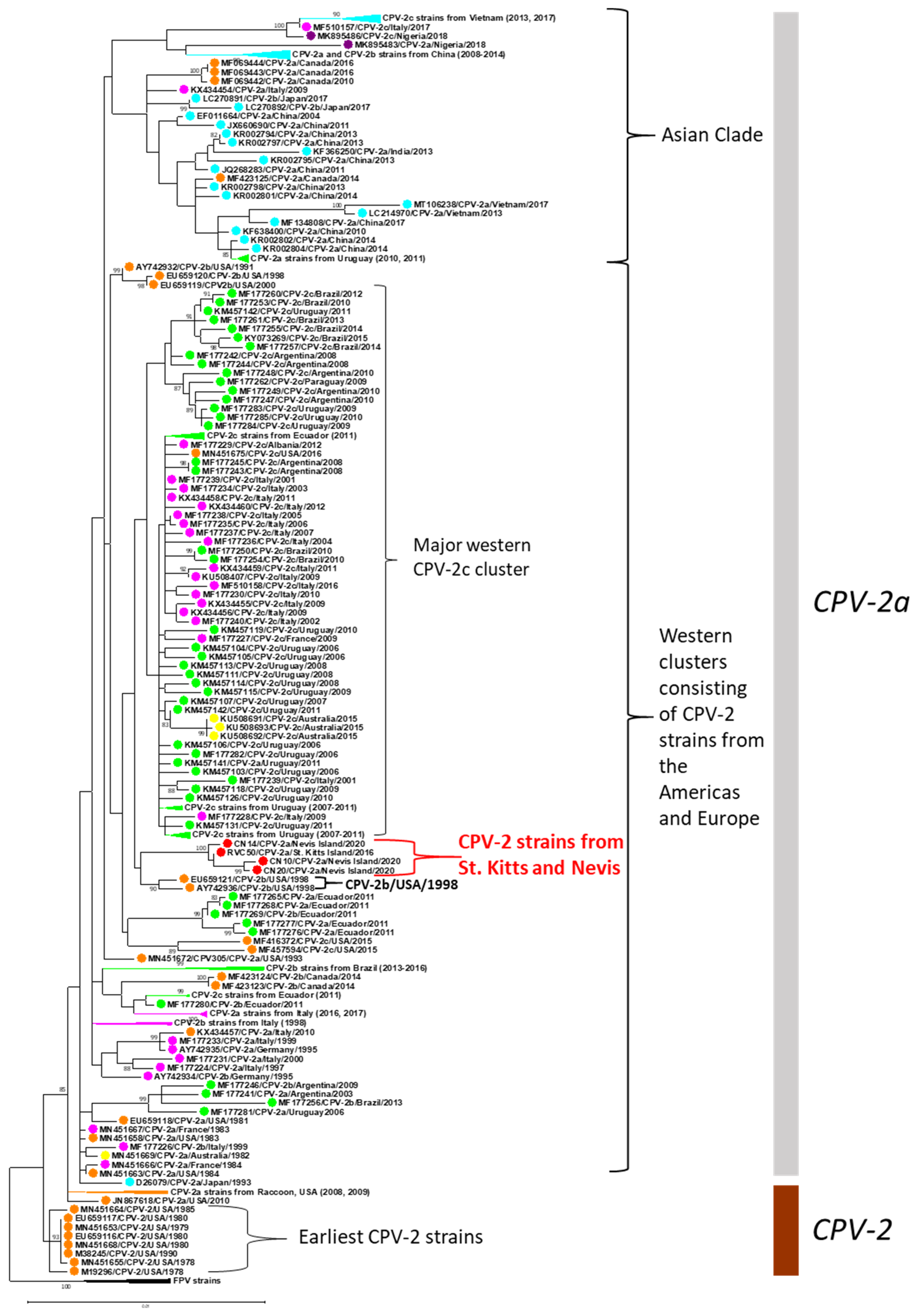 Viruses 13 01083 g002