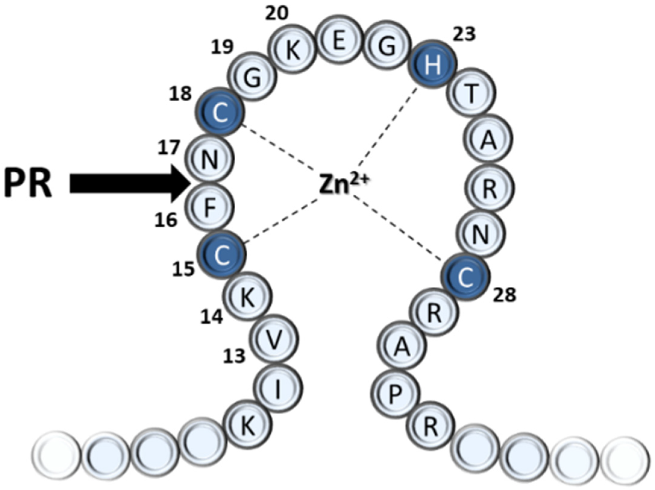 Viruses 13 01092 g001