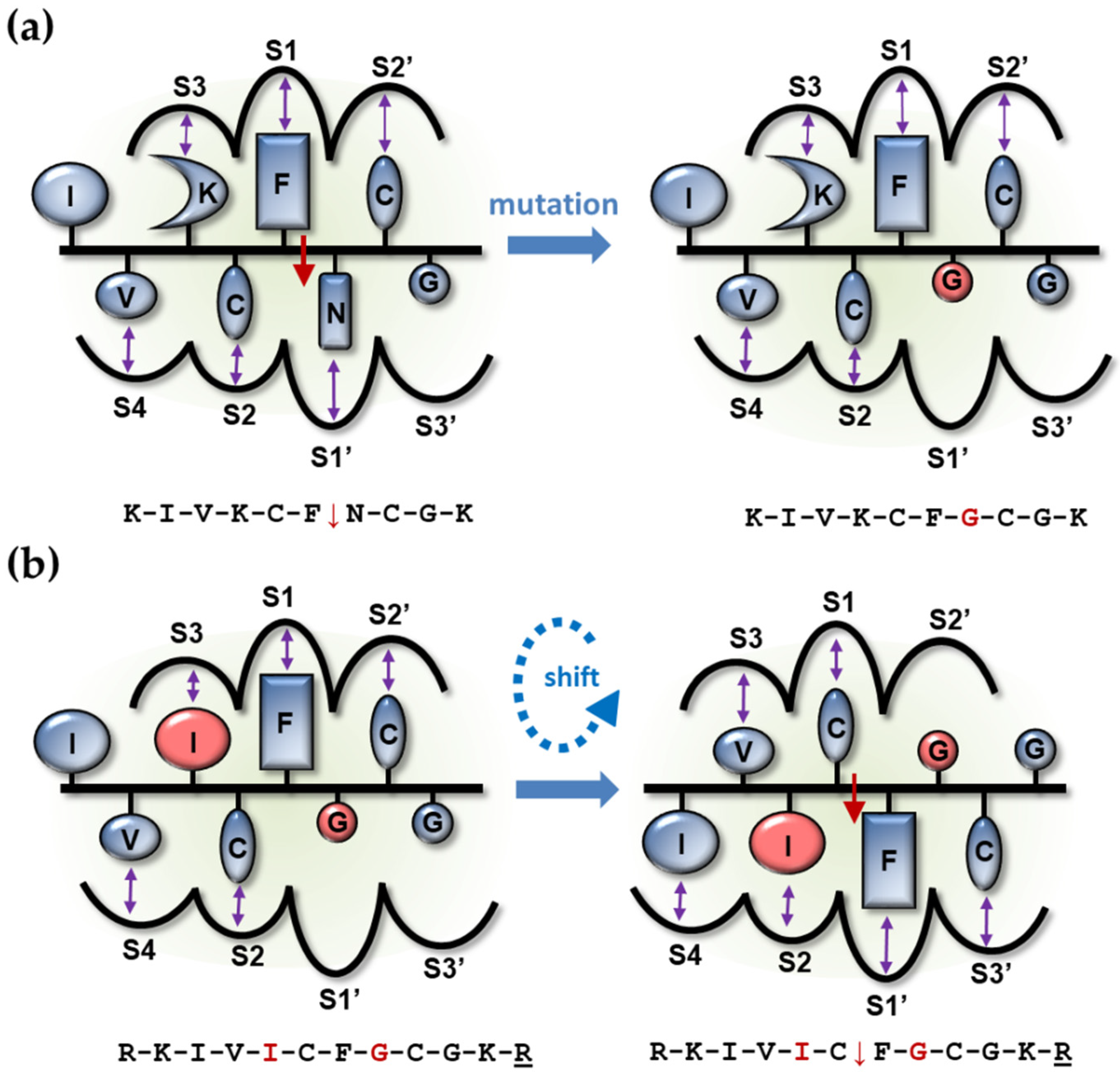 Viruses 13 01092 g004