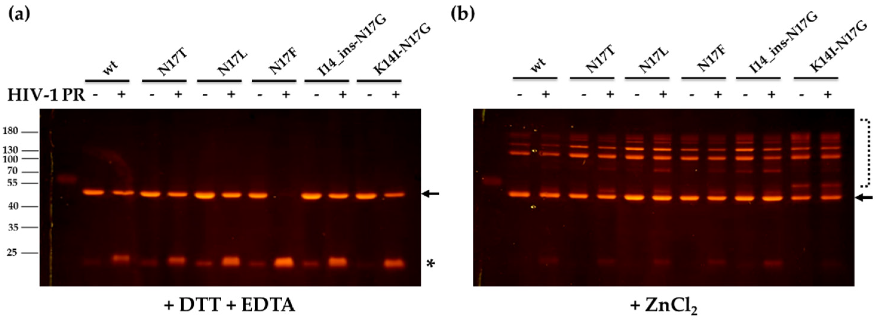 Viruses 13 01092 g005