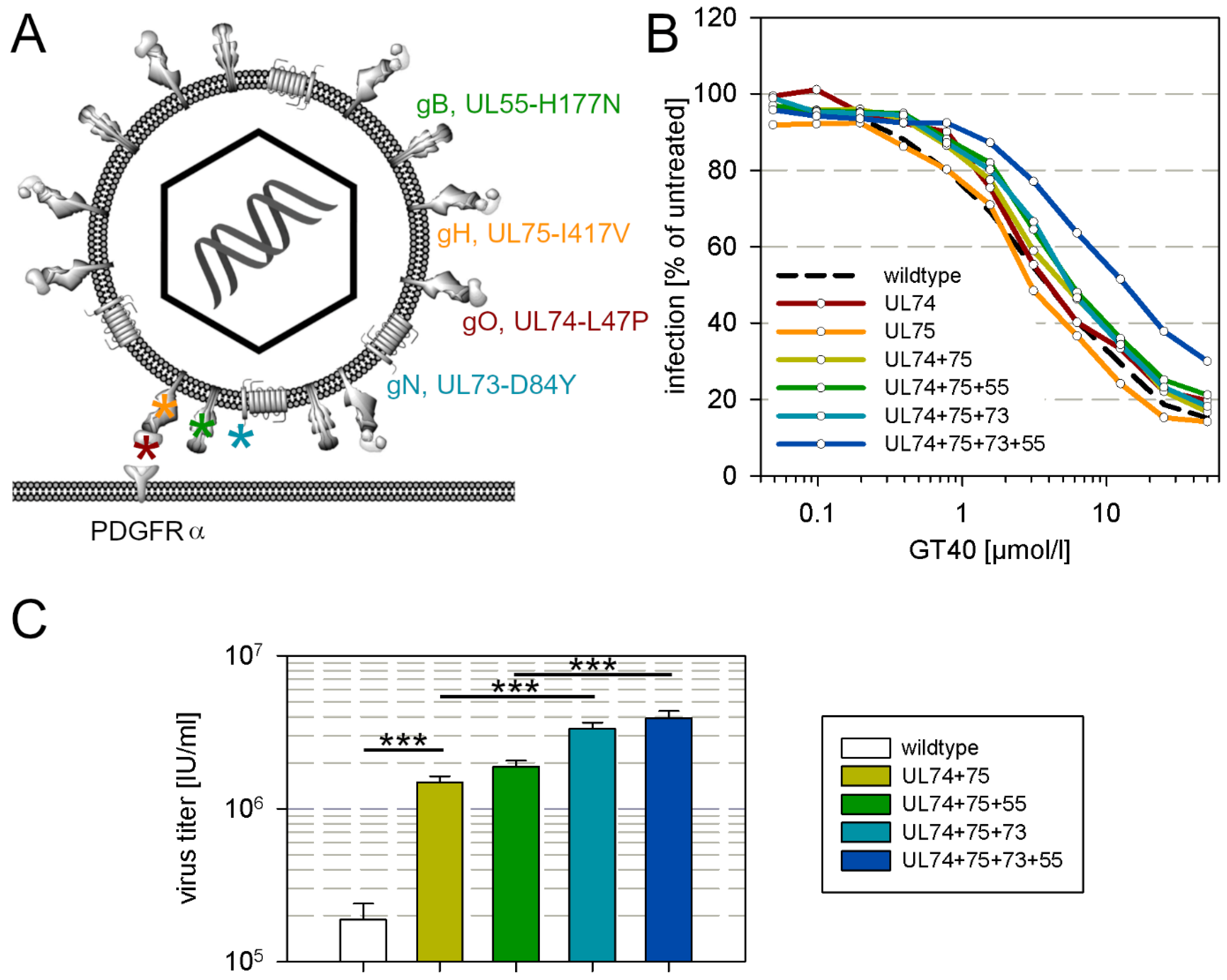 Viruses 13 01094 g004