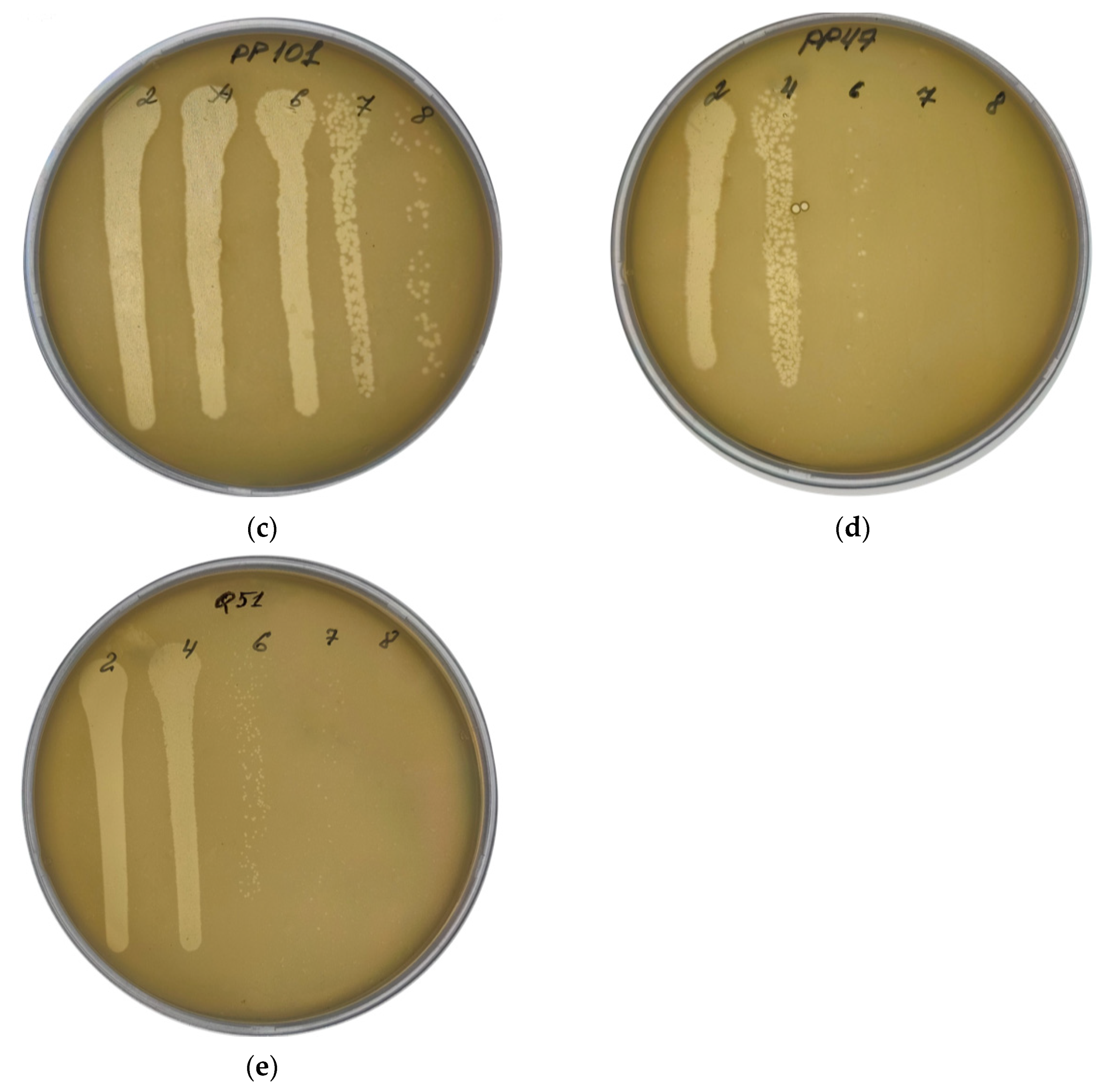 Viruses 13 01095 g001b