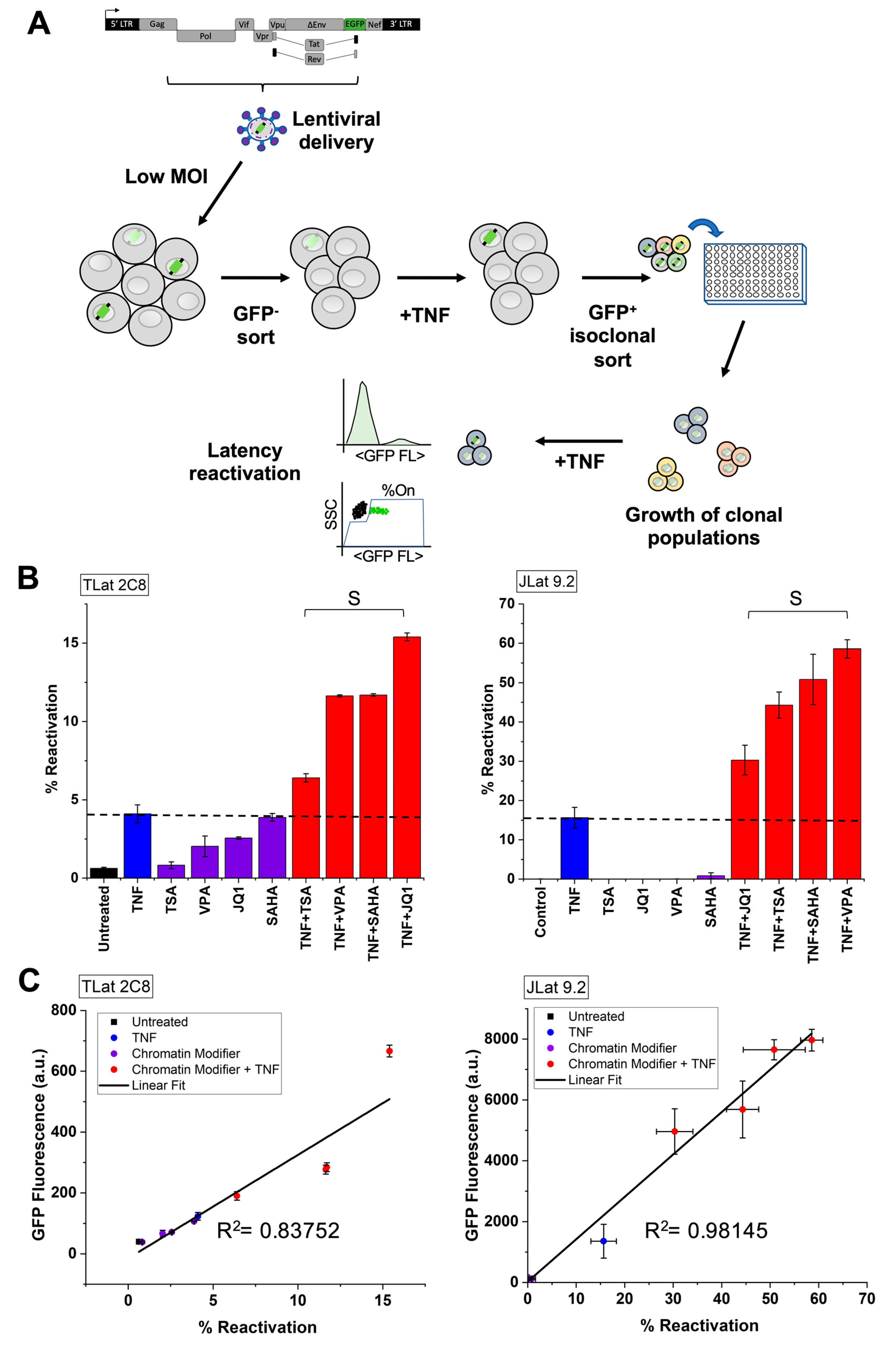 Viruses 13 01097 g003