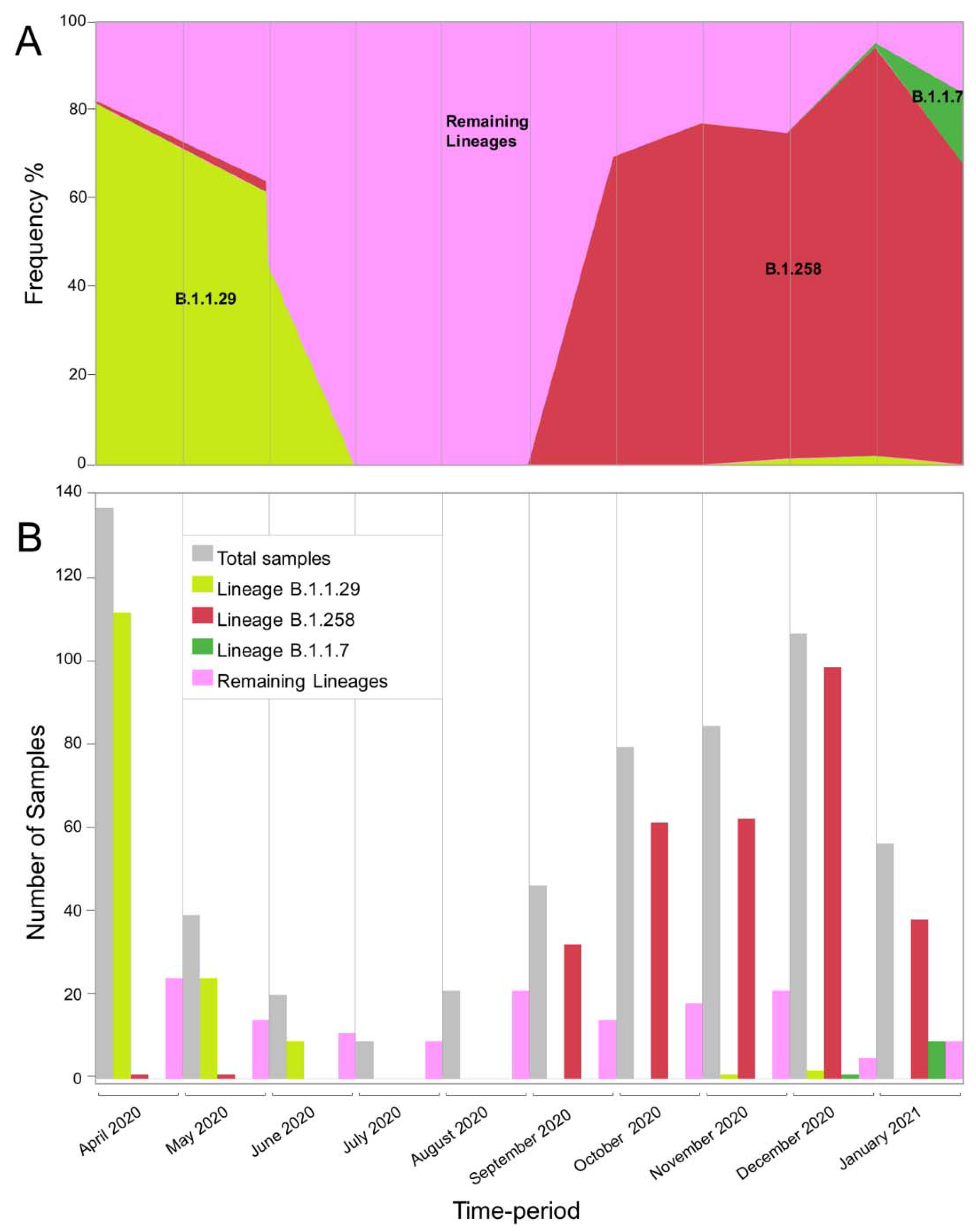 Viruses 13 01098 g001