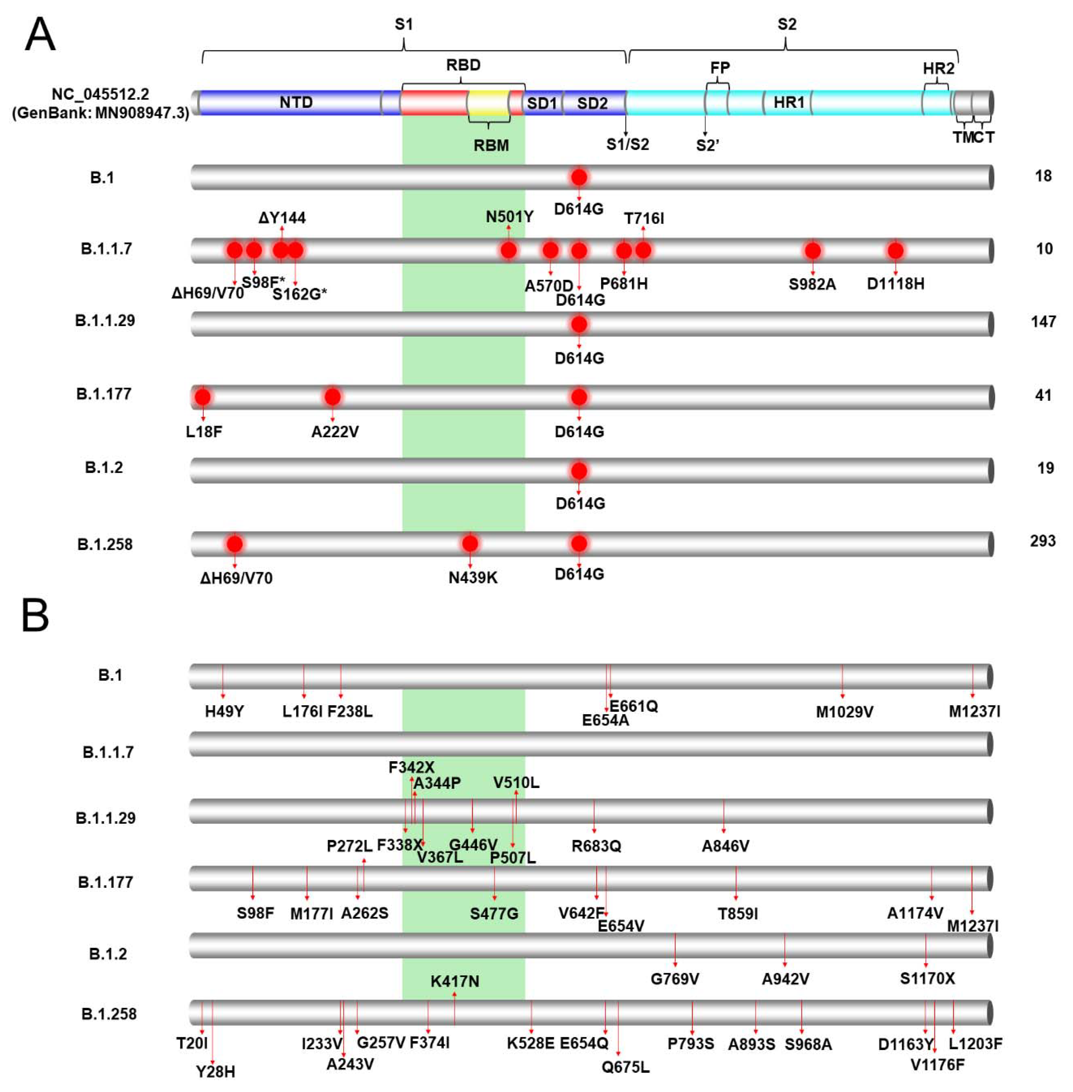 Viruses 13 01098 g002