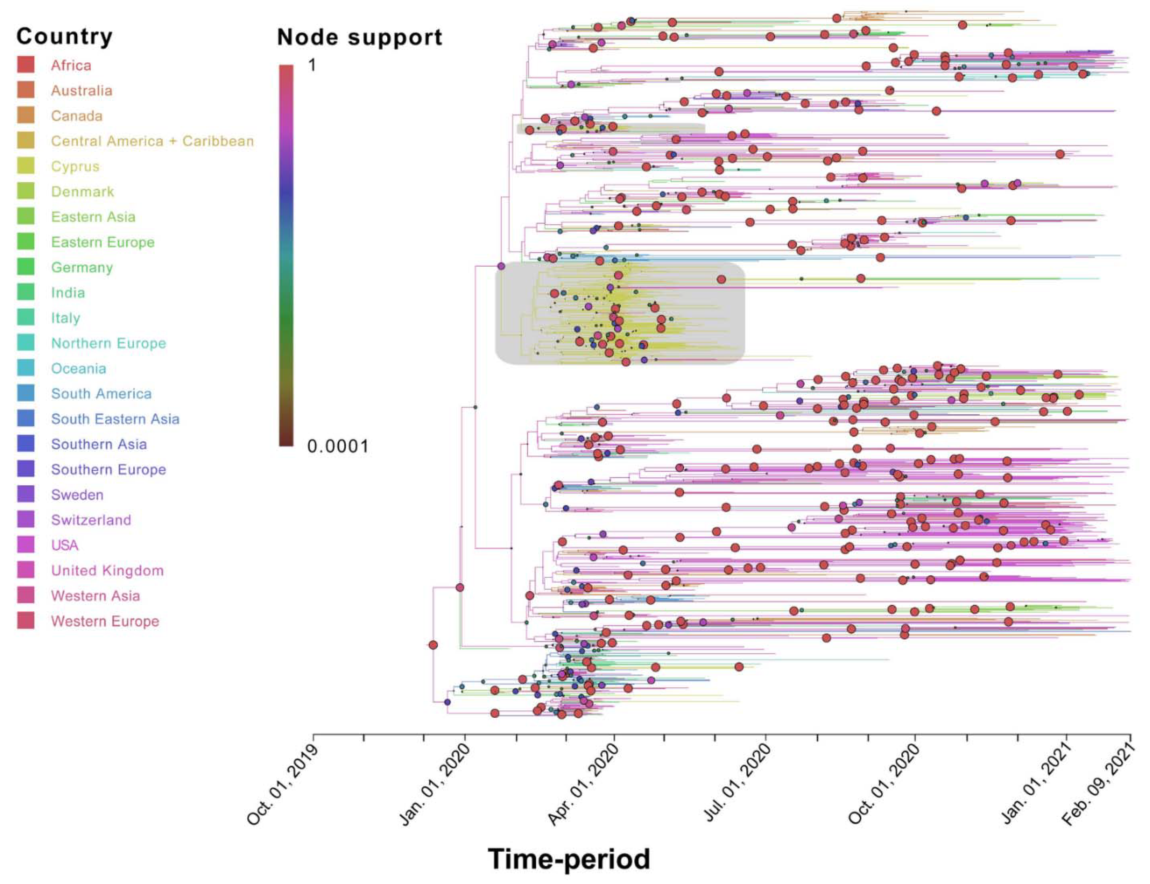 Viruses 13 01098 g005