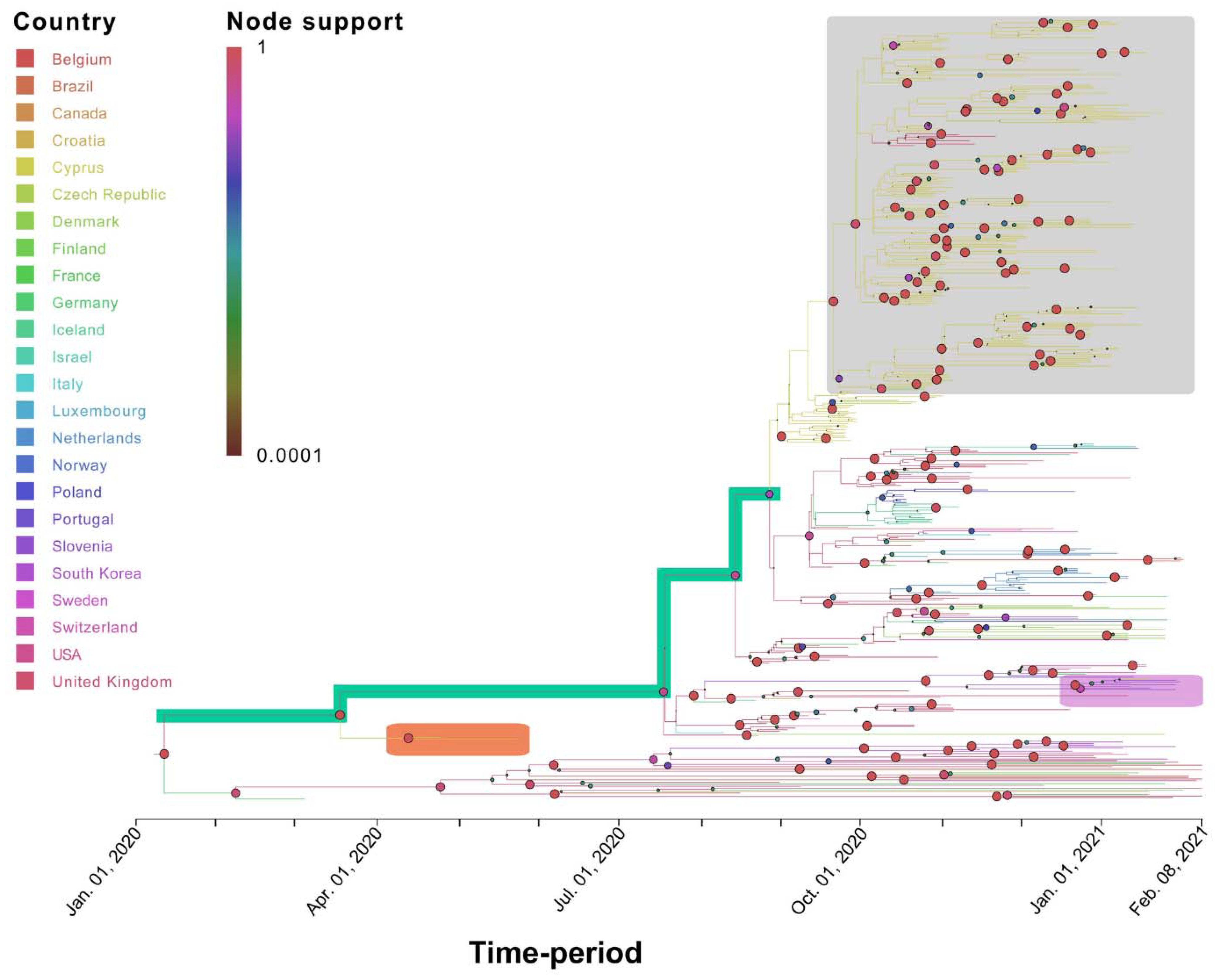 Viruses 13 01098 g006