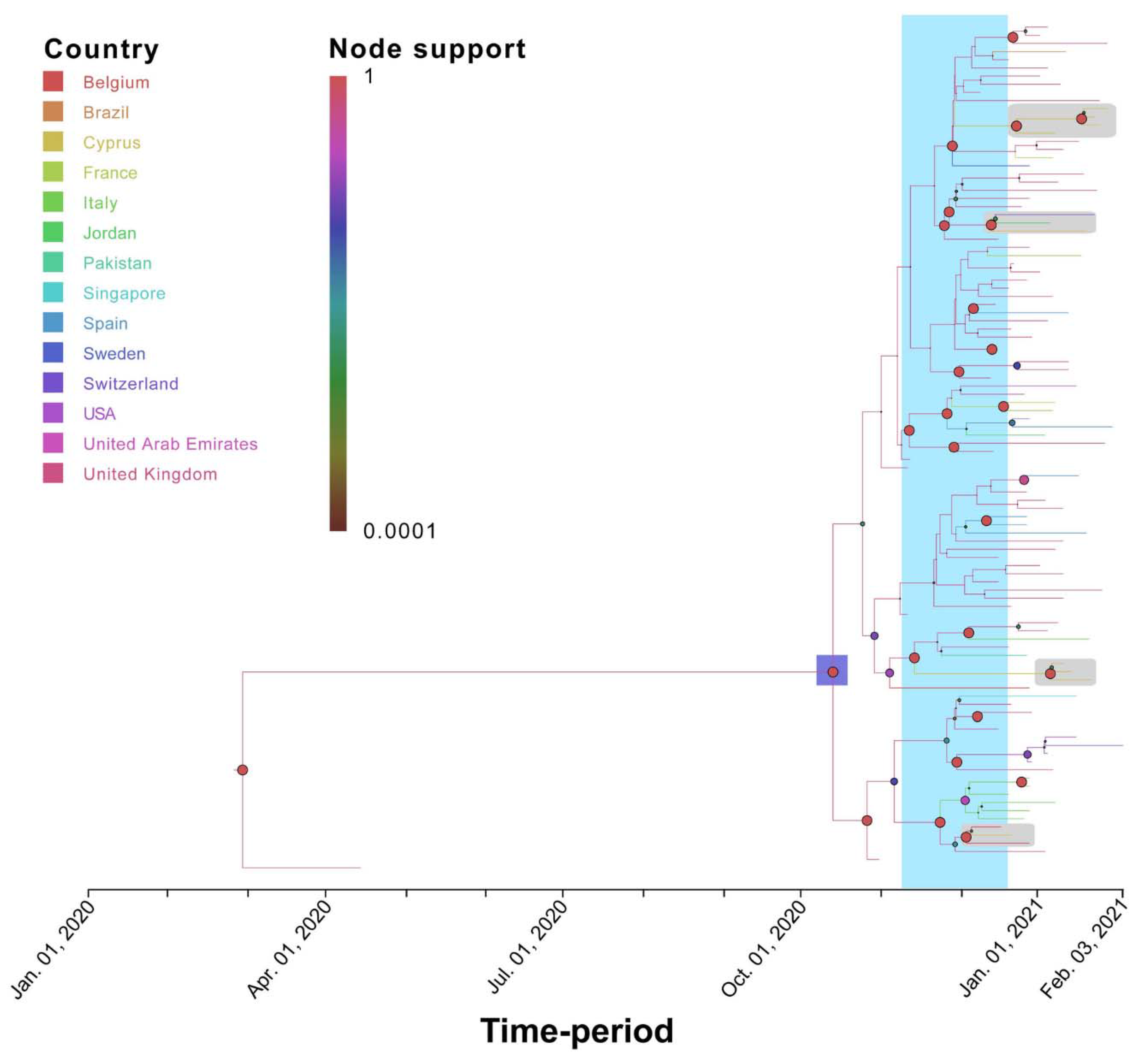 Viruses 13 01098 g007
