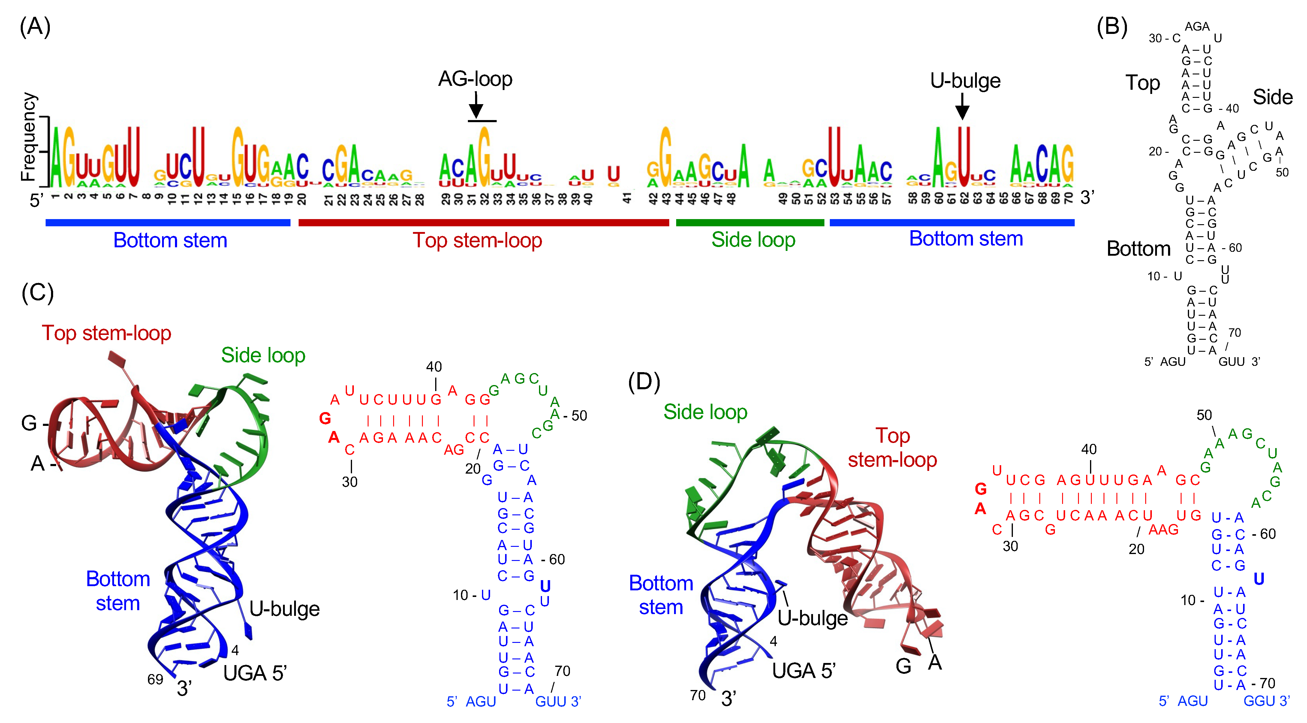 Viruses 13 01107 g003 Viruses 13 01107 g003