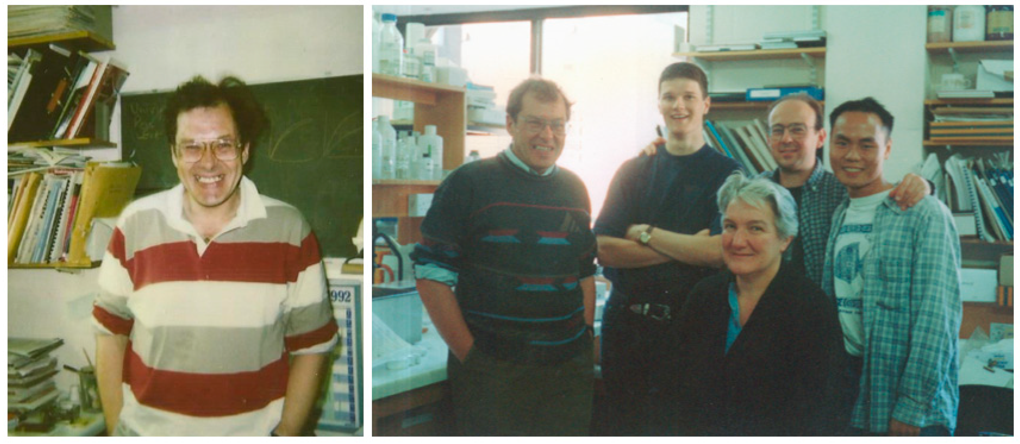 Viruses 13 01111 g001