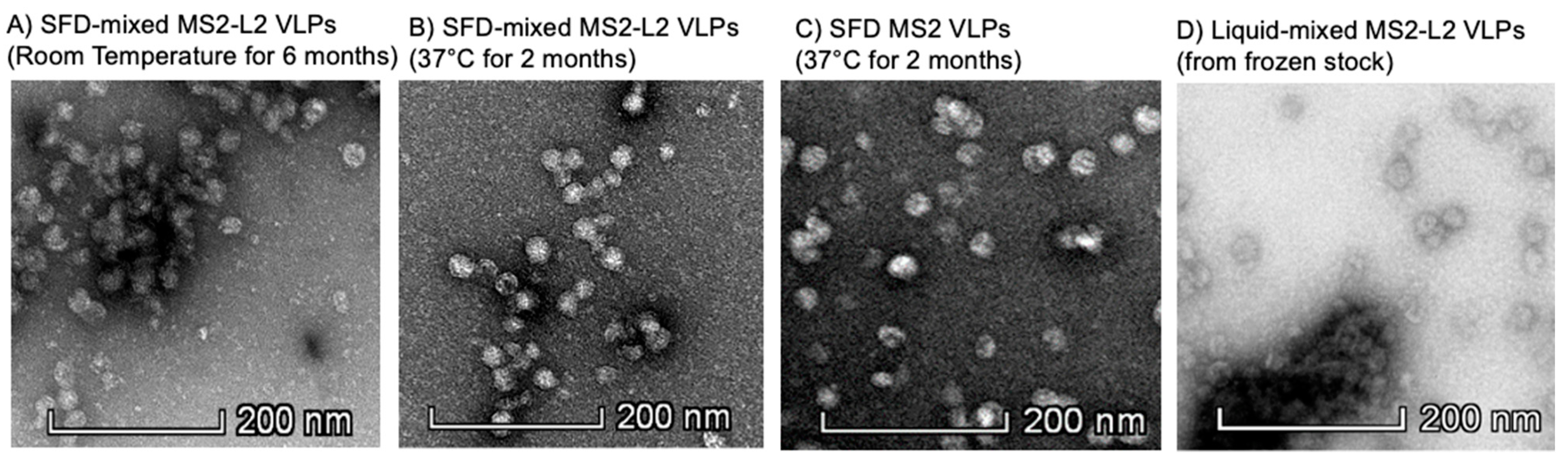 Viruses 13 01113 g003 Viruses 13 01113 g003