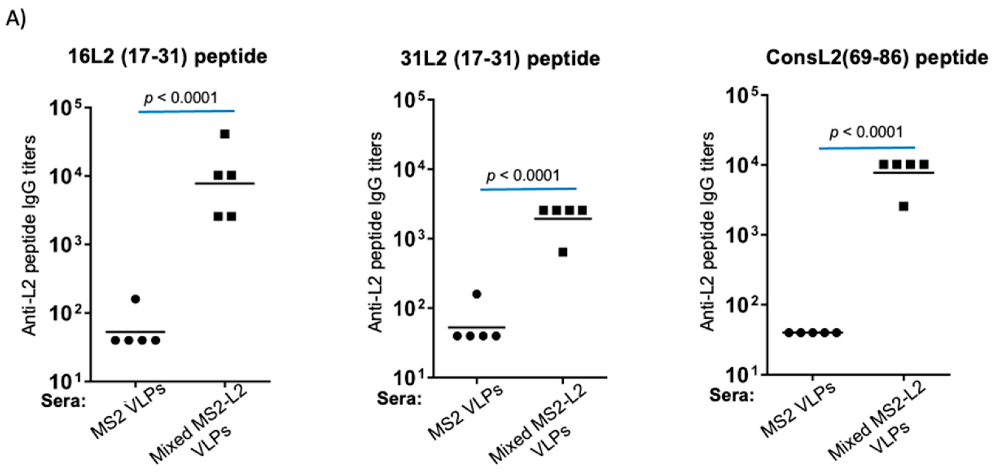 Viruses 13 01113 g004a Viruses 13 01113 g004a