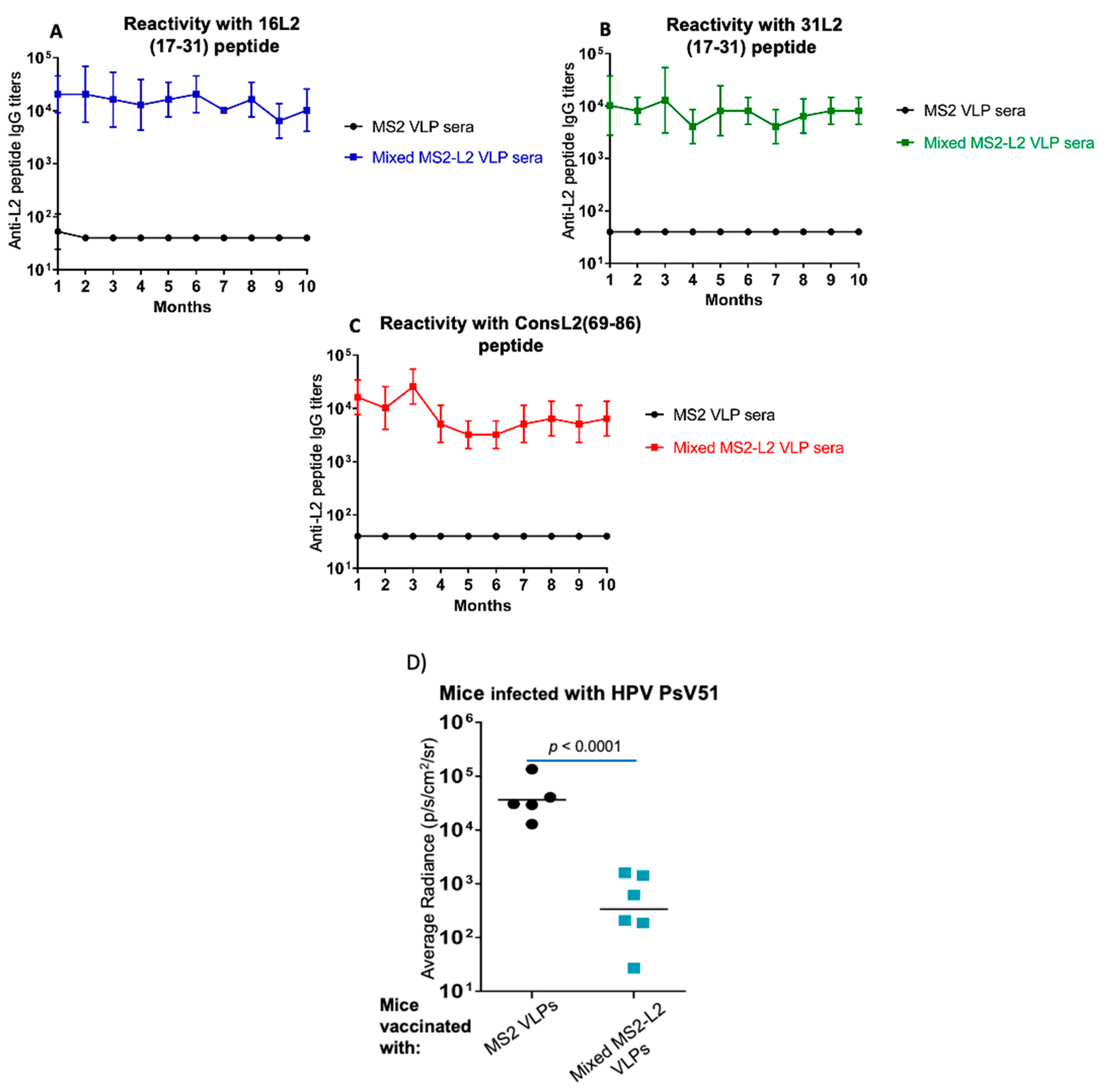 Viruses 13 01113 g005 Viruses 13 01113 g005