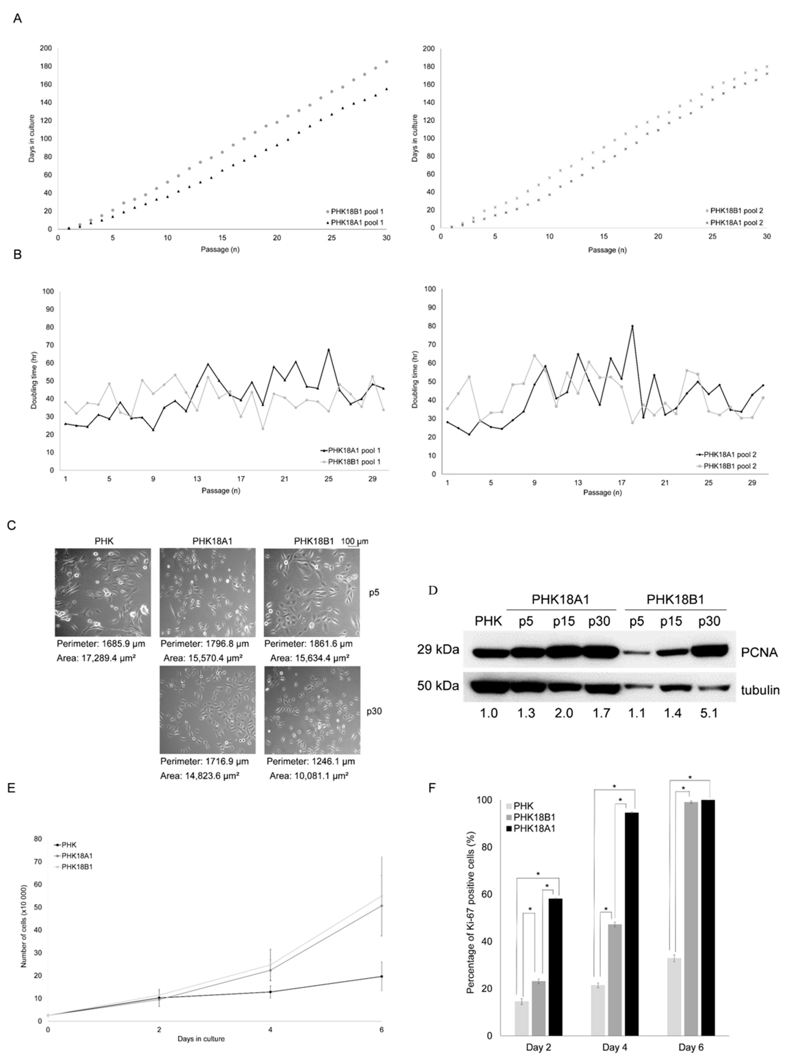 Viruses 13 01114 g001