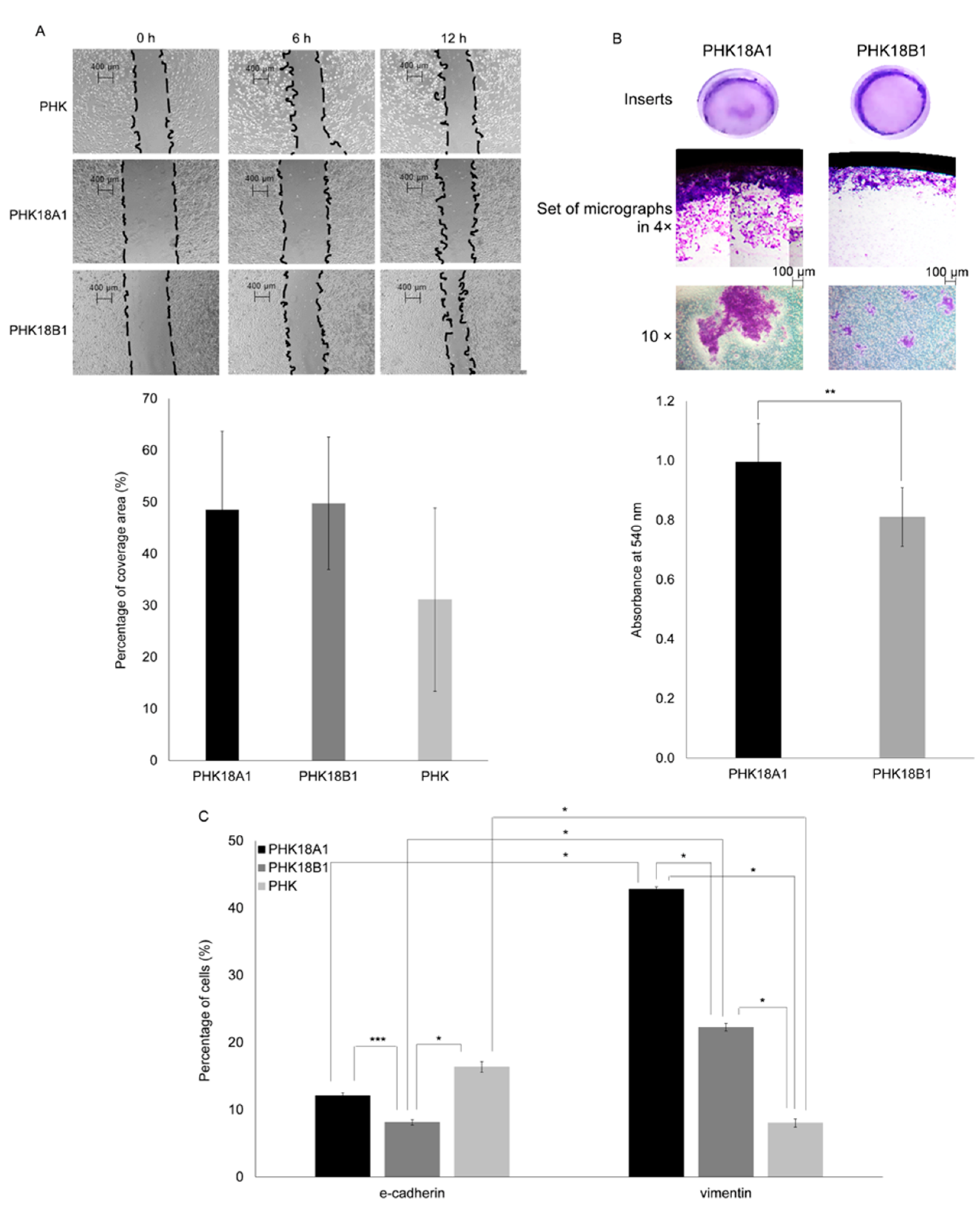 Viruses 13 01114 g005