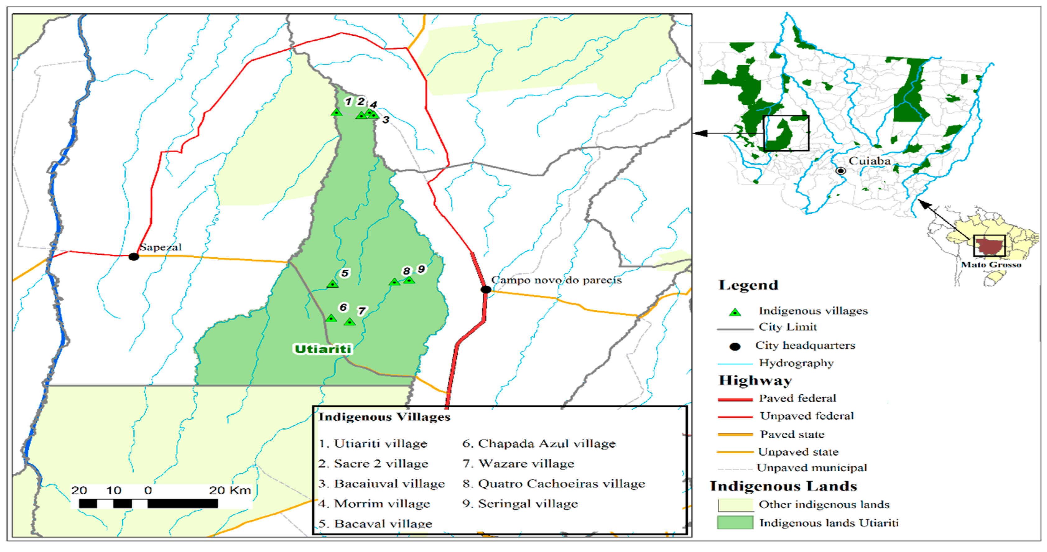 Viruses 13 01122 g001