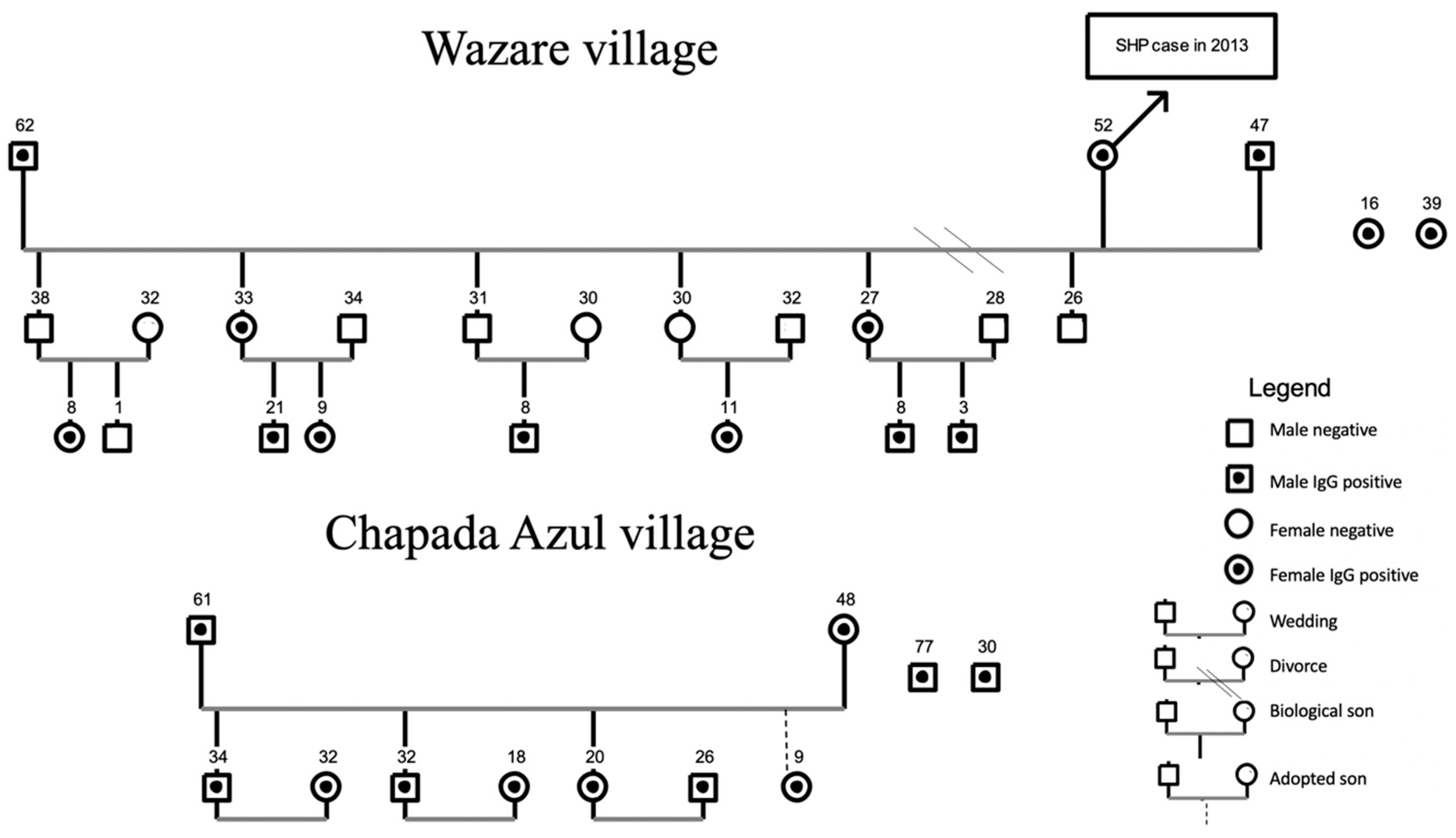 Viruses 13 01122 g002