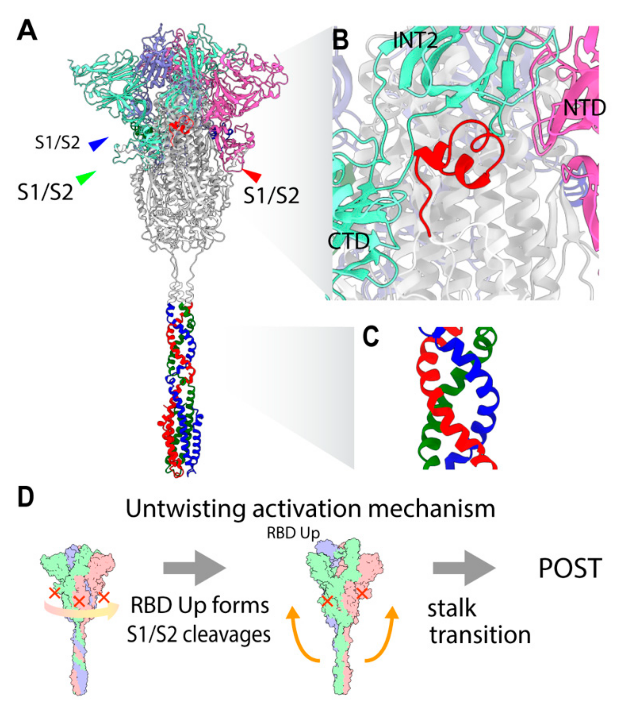 Viruses 13 01126 g002