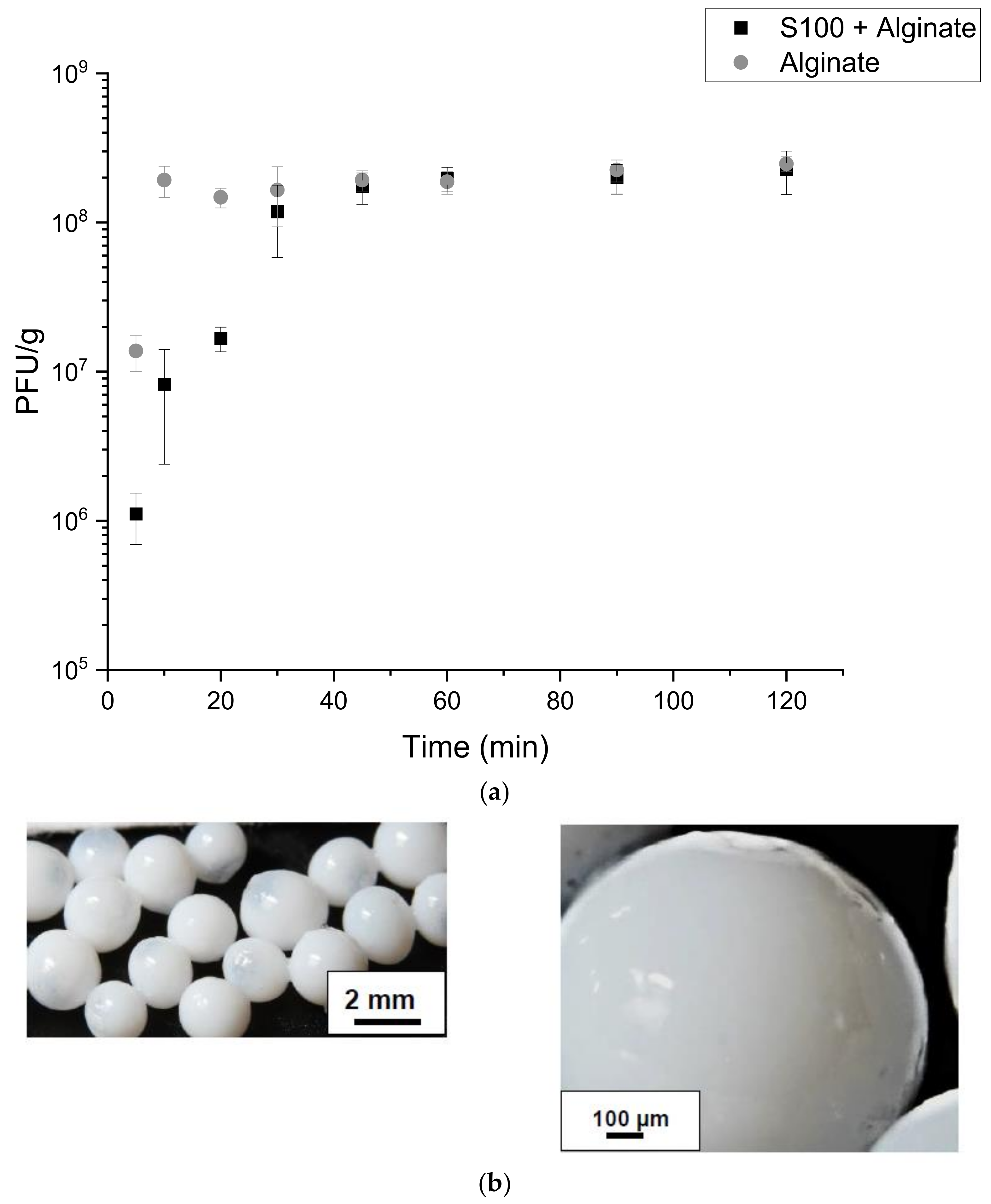 Viruses 13 01131 g002a