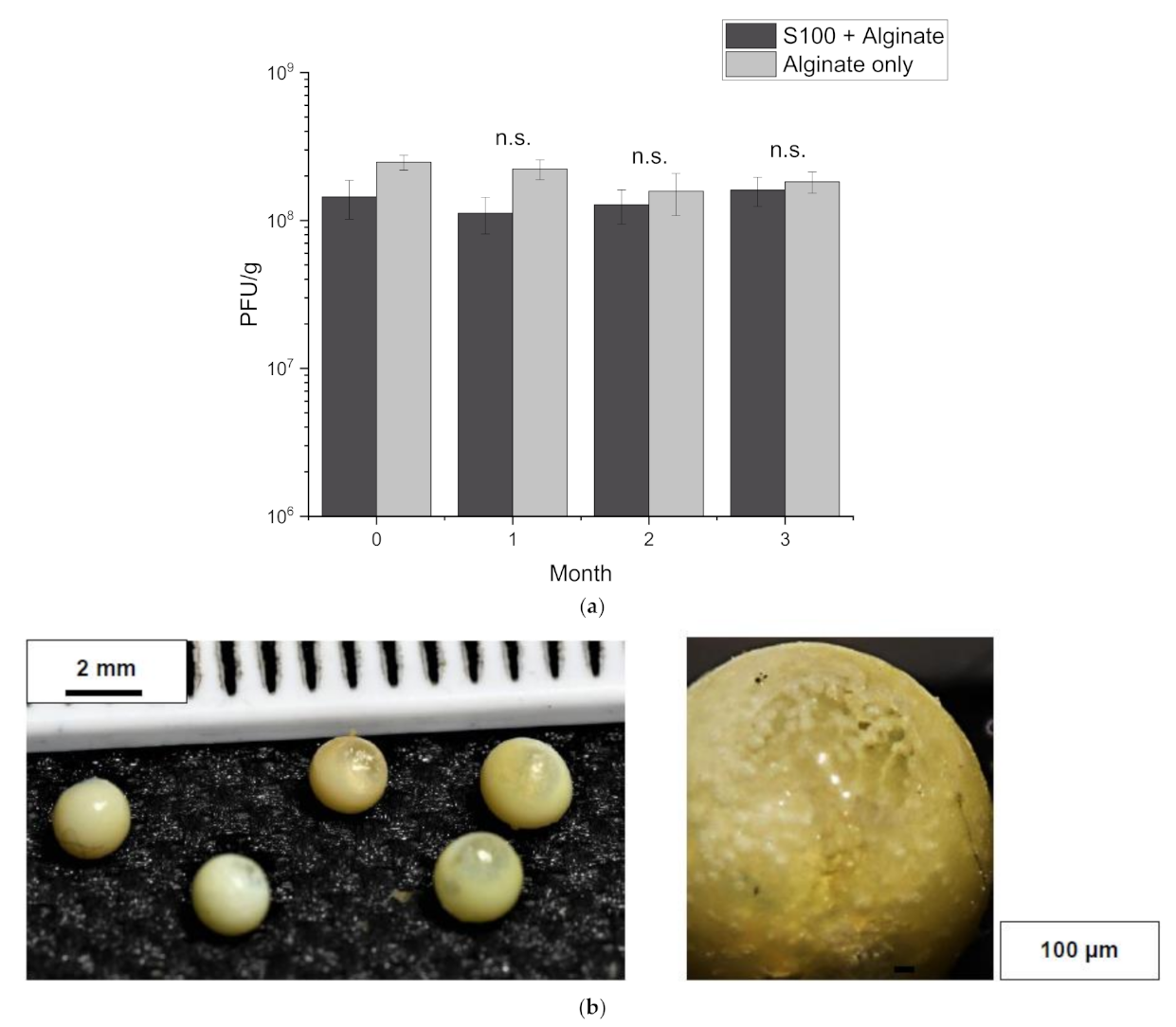 Viruses 13 01131 g006