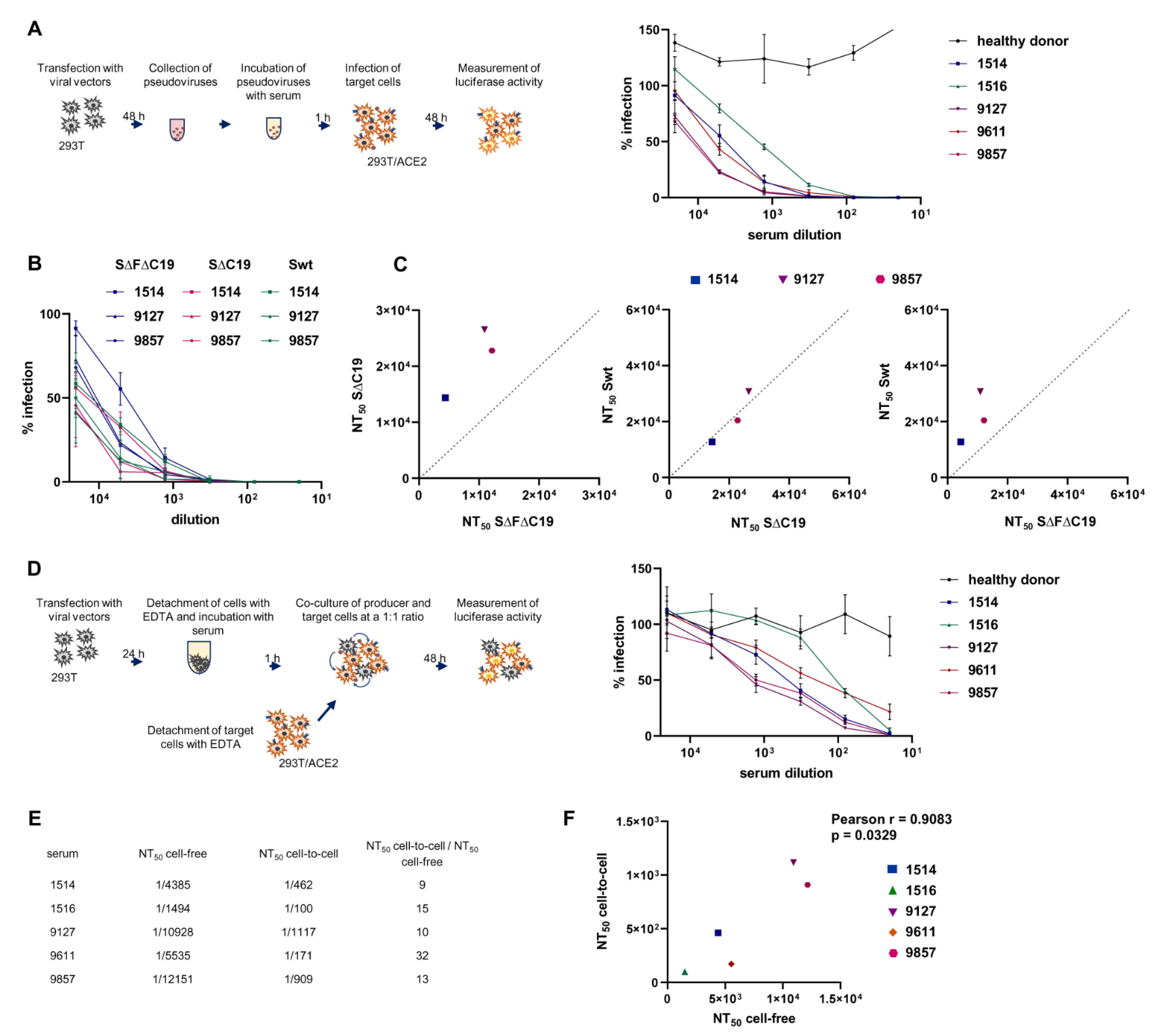 Viruses 13 01133 g003