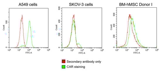 Viruses 13 01136 g0a1