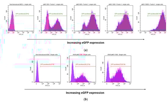 Viruses 13 01136 g0a2