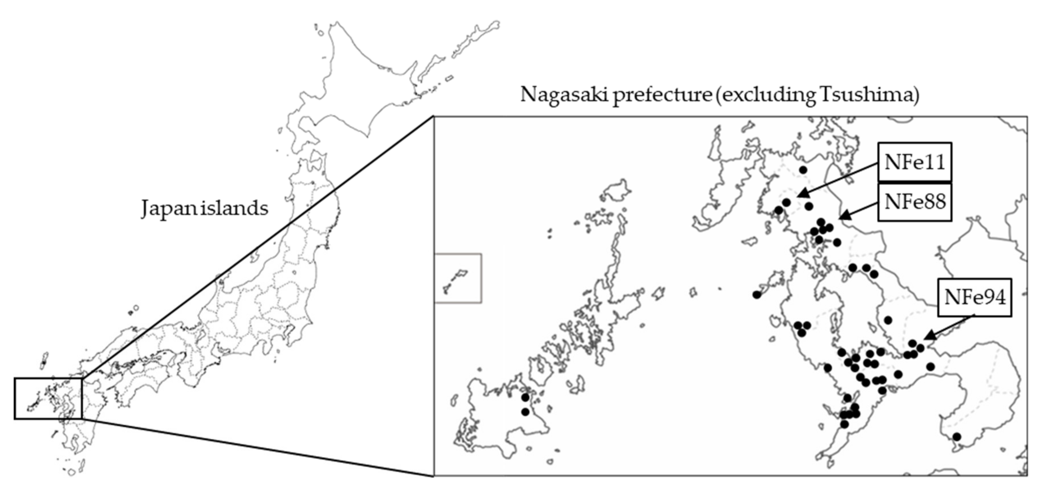 Viruses 13 01142 g001 Viruses 13 01142 g001