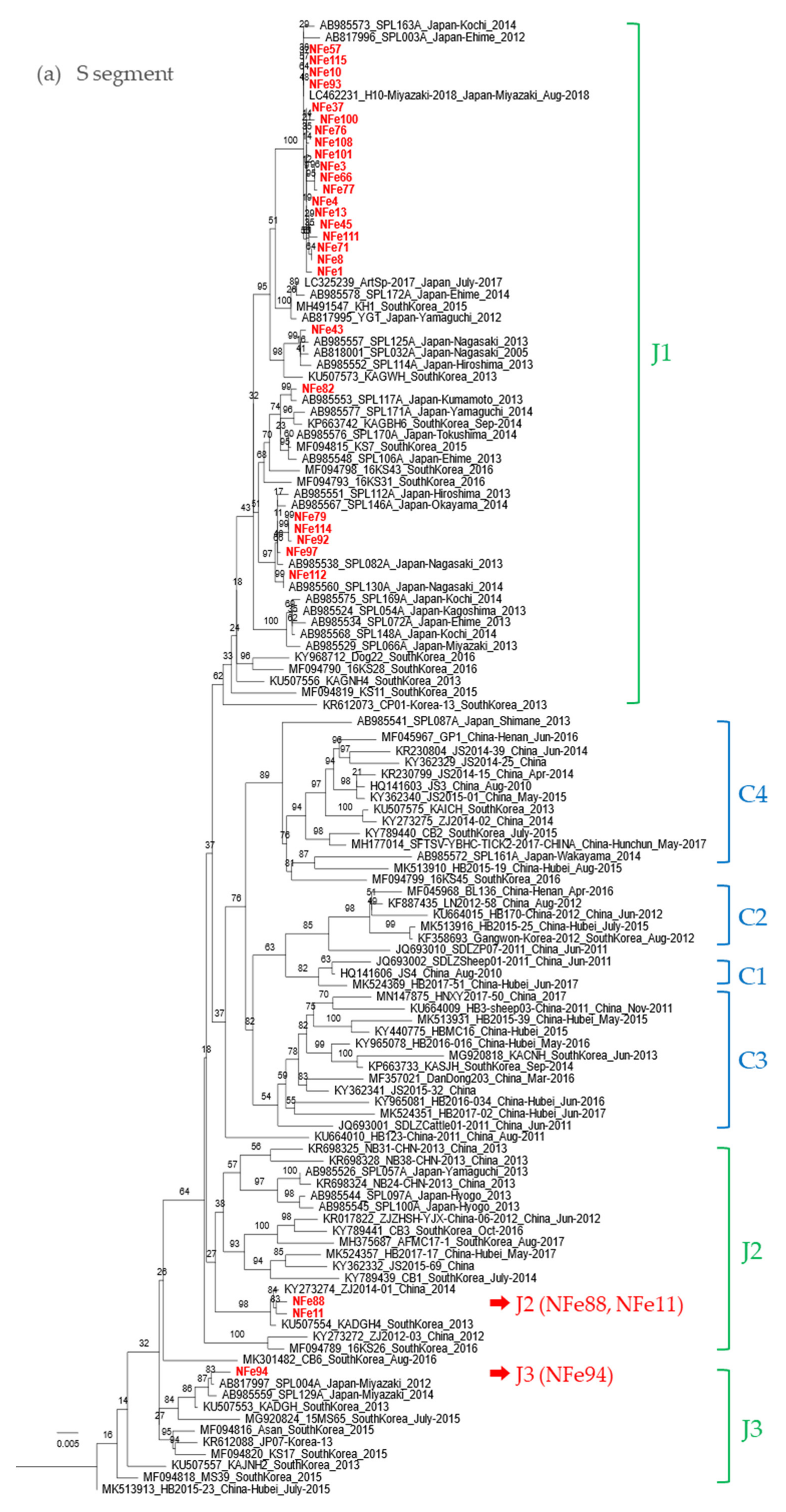 Viruses 13 01142 g005a Viruses 13 01142 g005a