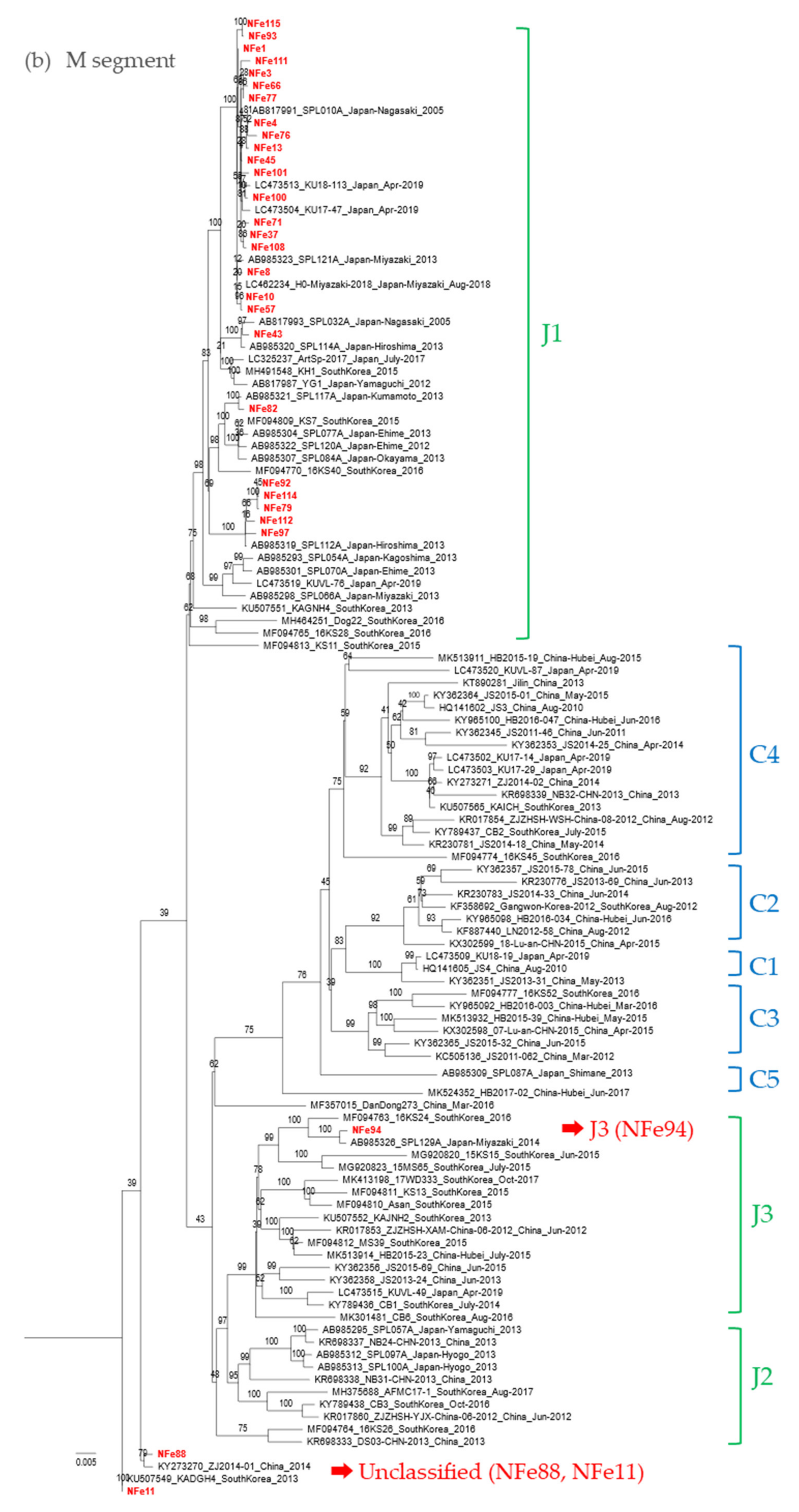 Viruses 13 01142 g005b Viruses 13 01142 g005b