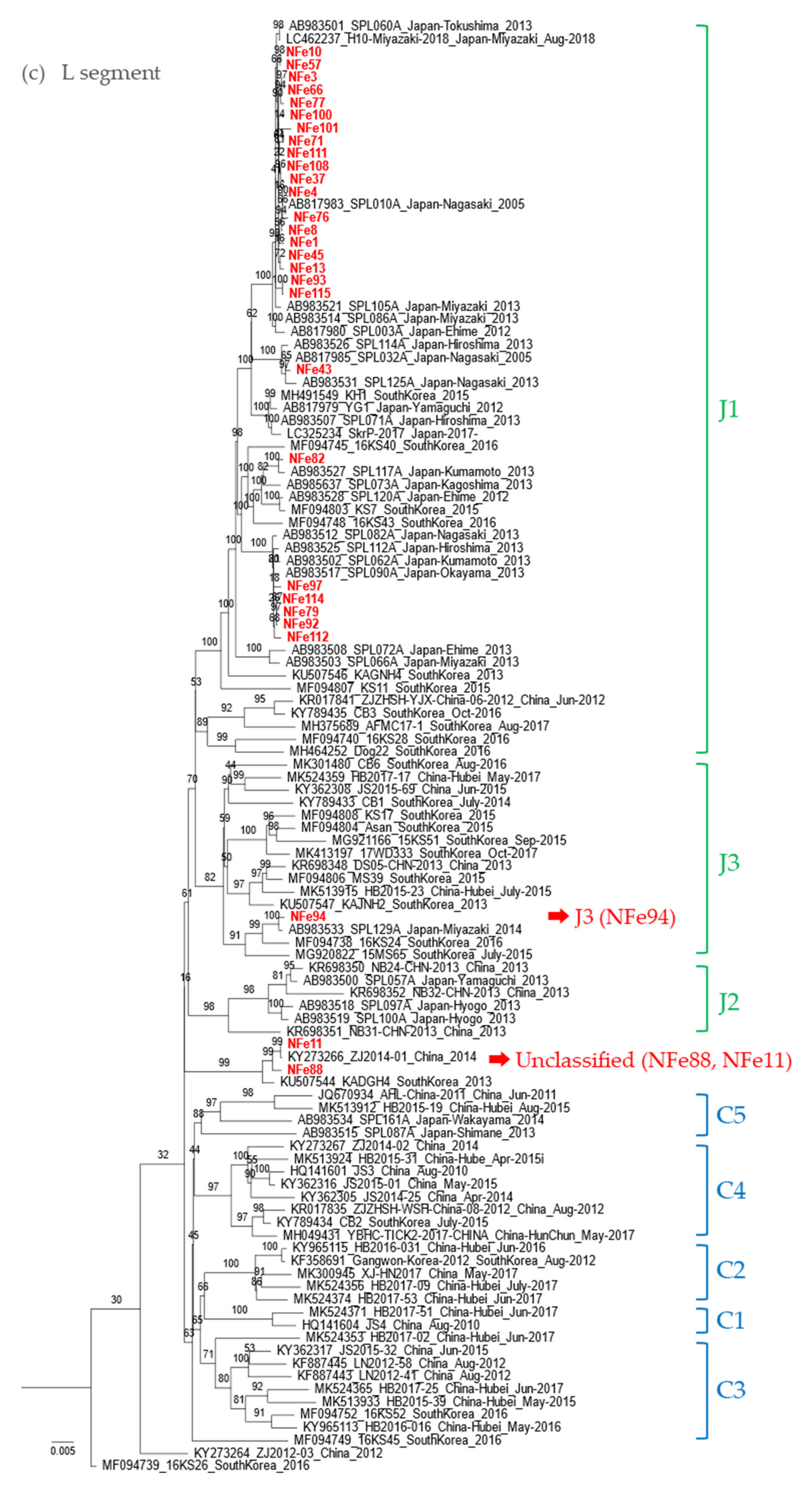 Viruses 13 01142 g005c Viruses 13 01142 g005c