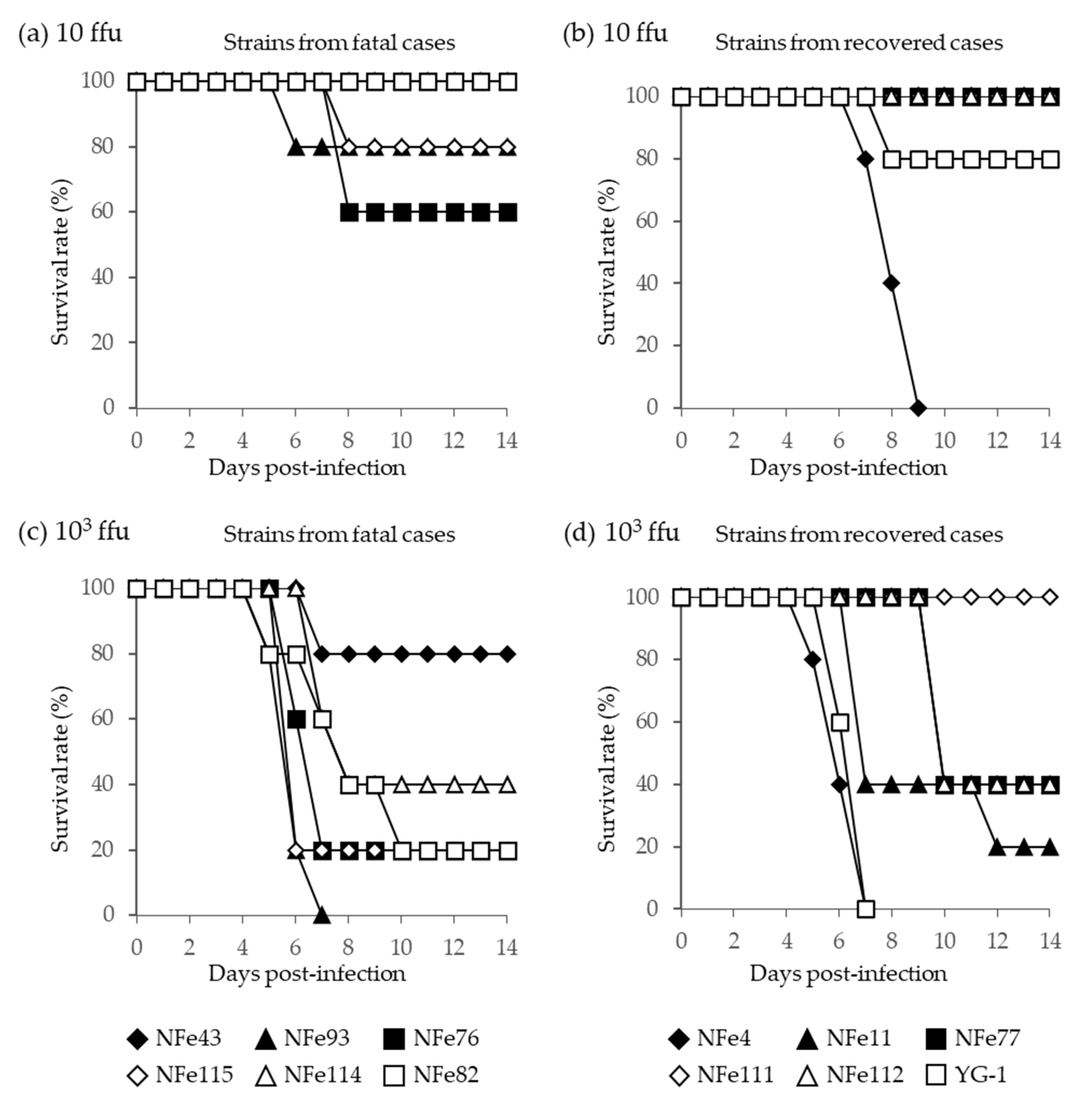 Viruses 13 01142 g007 Viruses 13 01142 g007