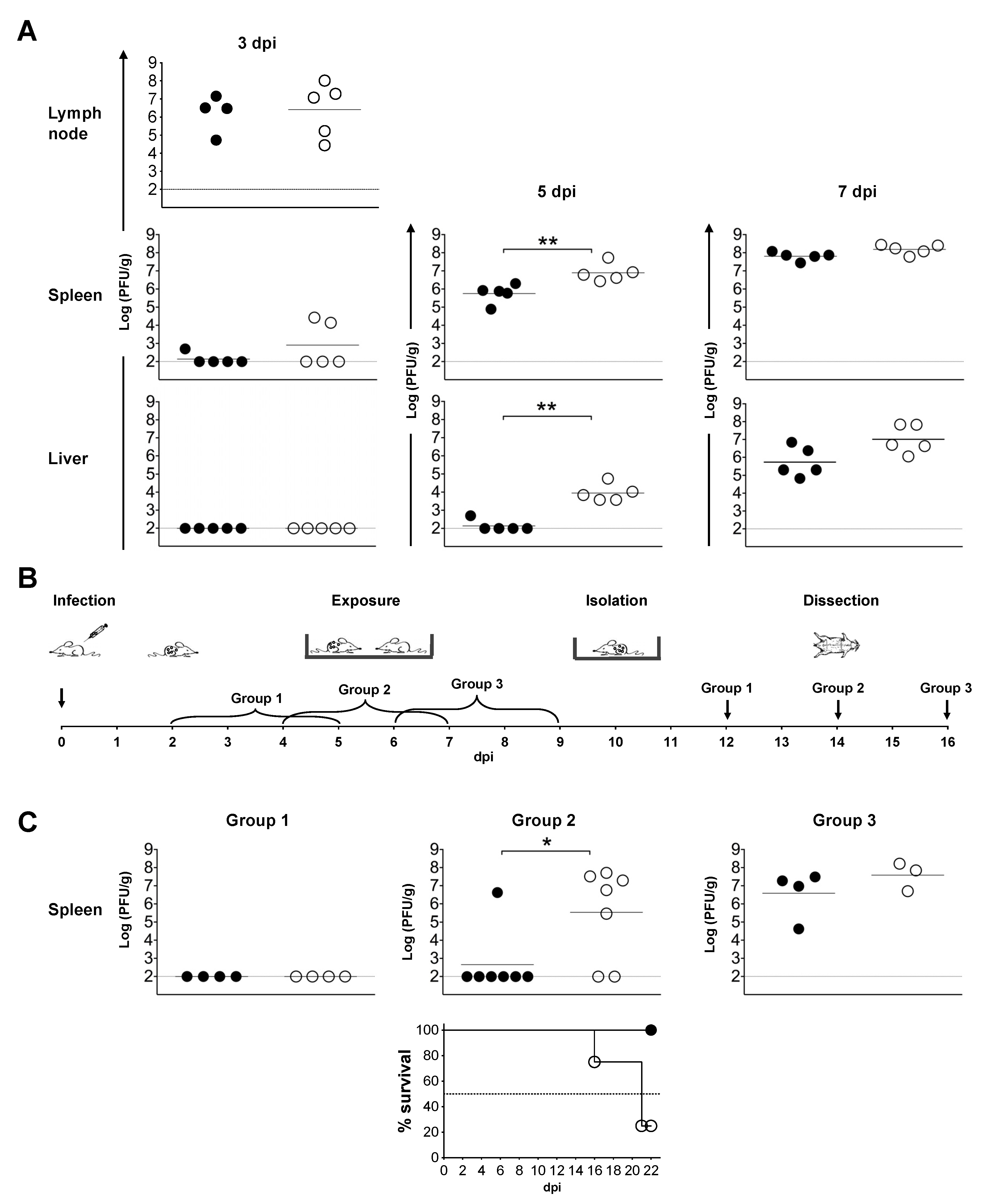 Viruses 13 01146 g006