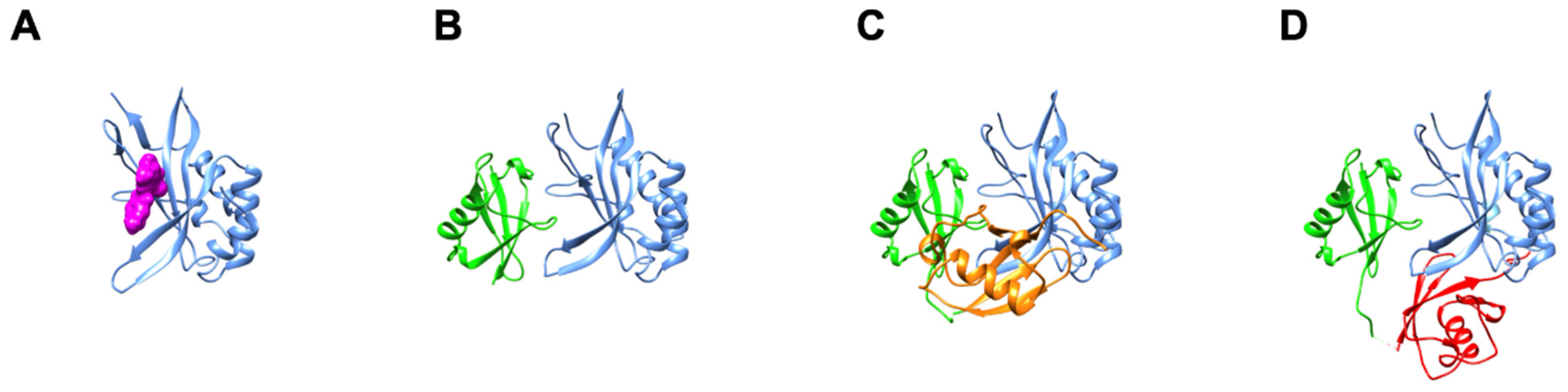 Viruses 13 01147 g004 Viruses 13 01147 g004