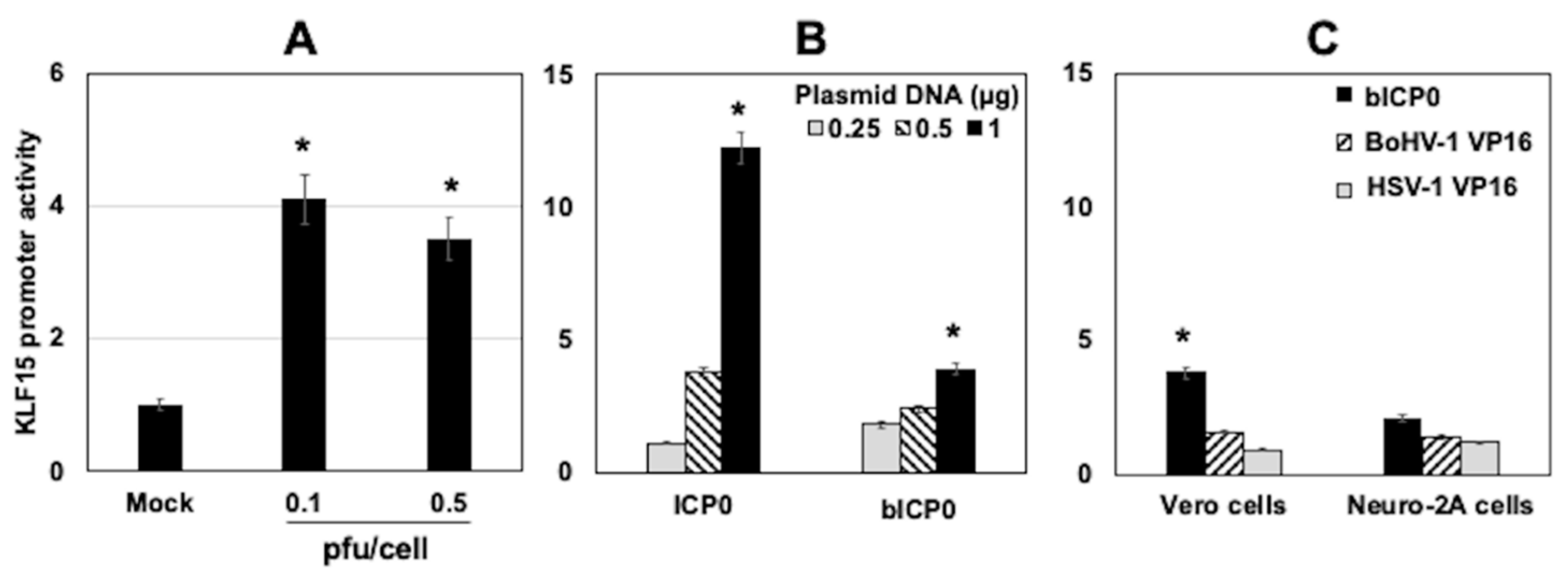 Viruses 13 01148 g007