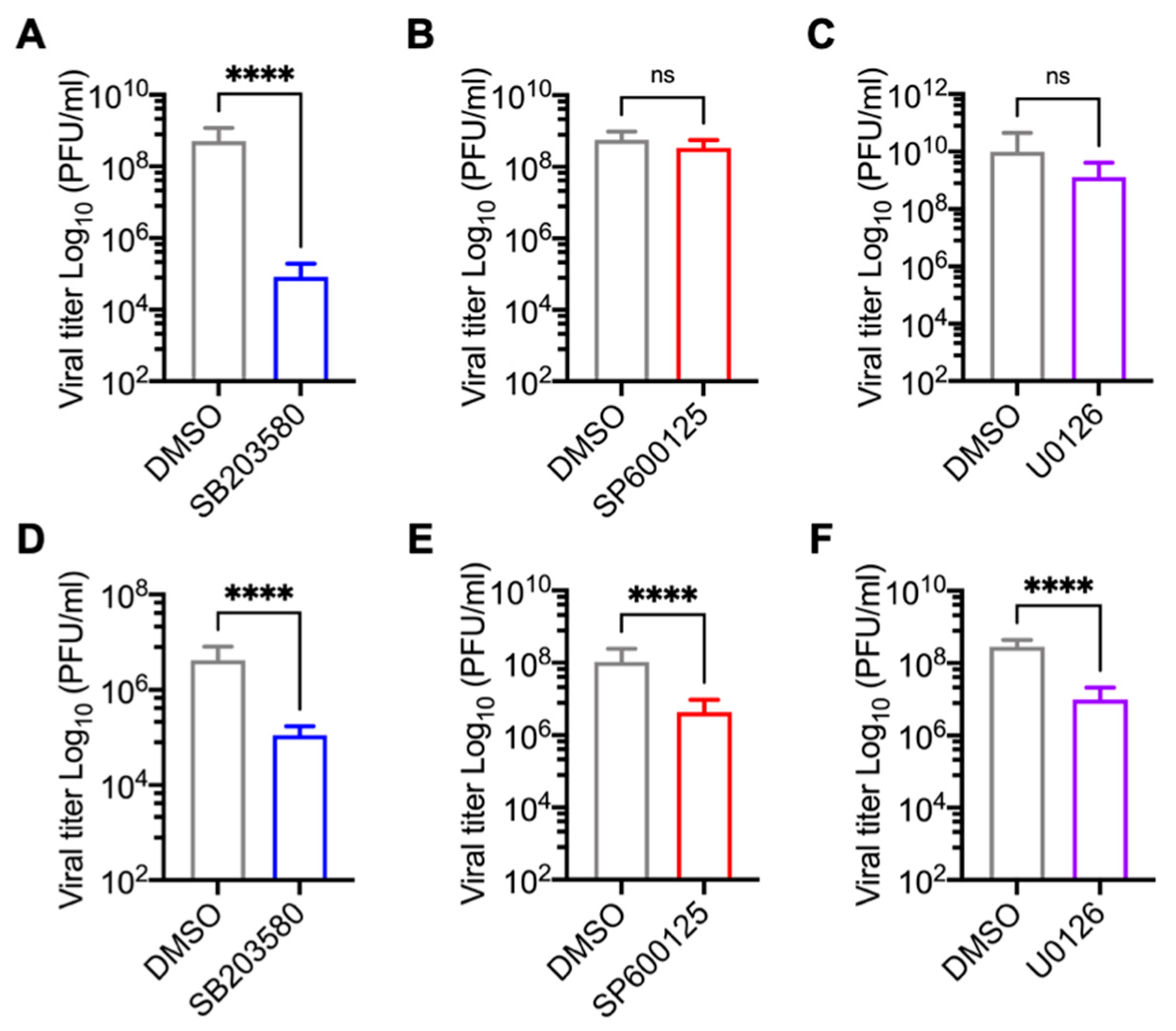 Viruses 13 01156 g003