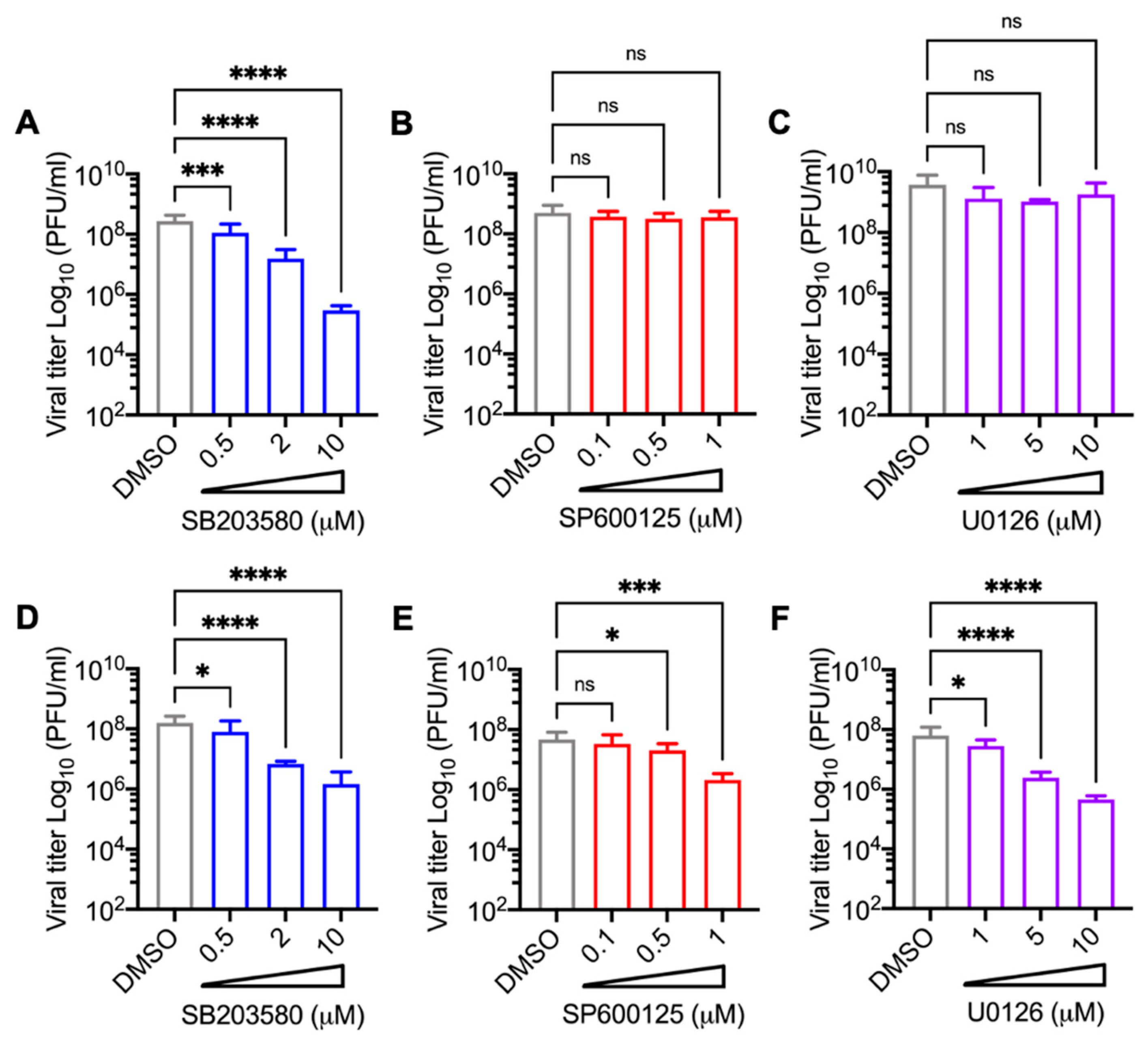 Viruses 13 01156 g004