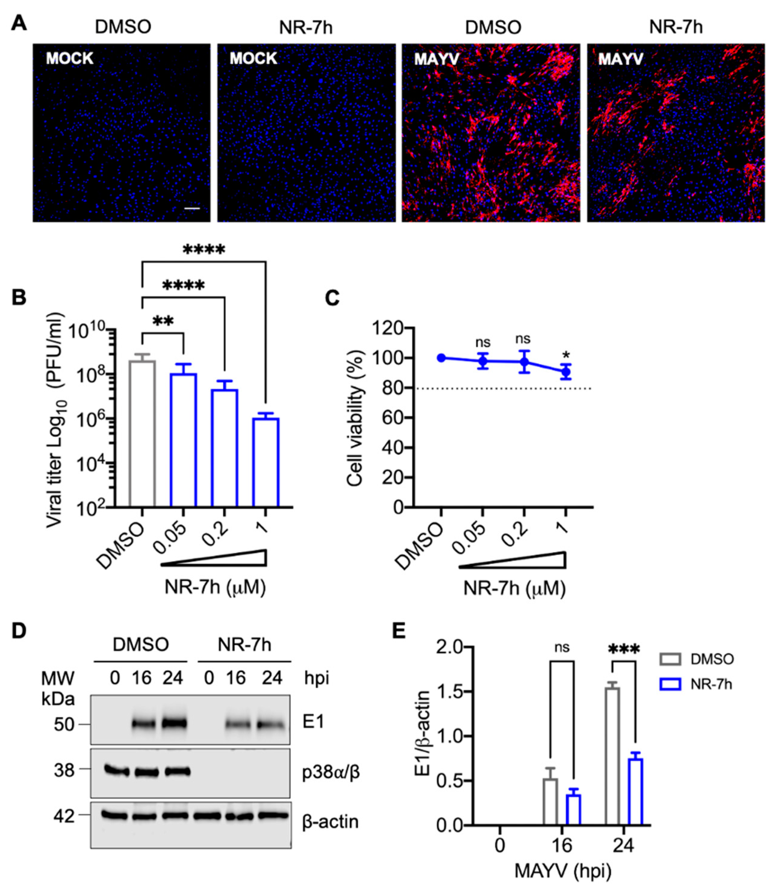 Viruses 13 01156 g006