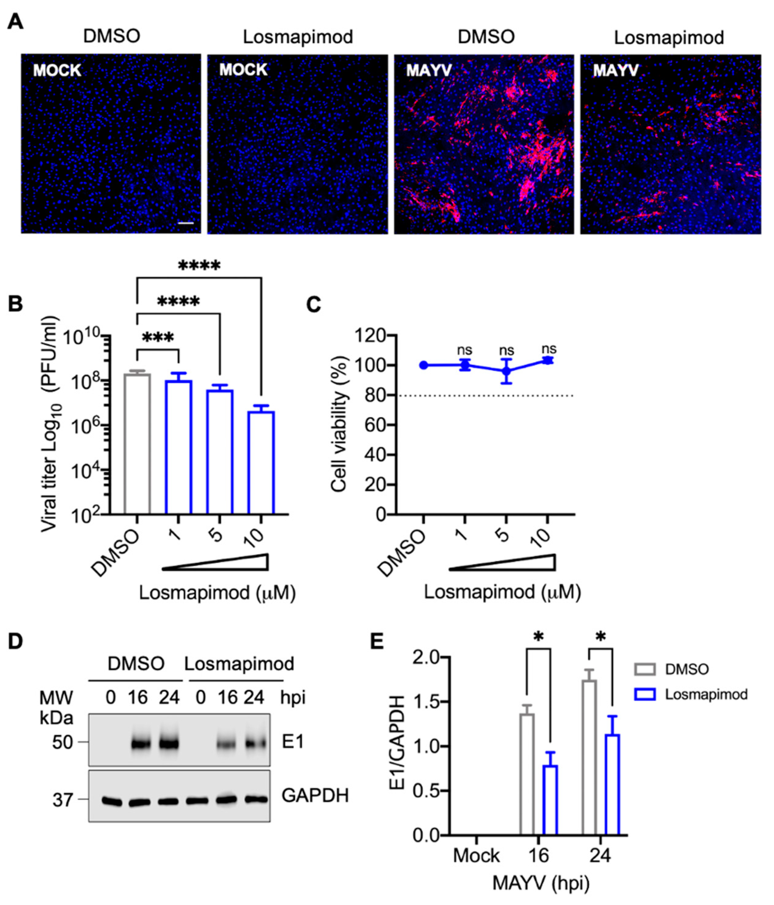 Viruses 13 01156 g007