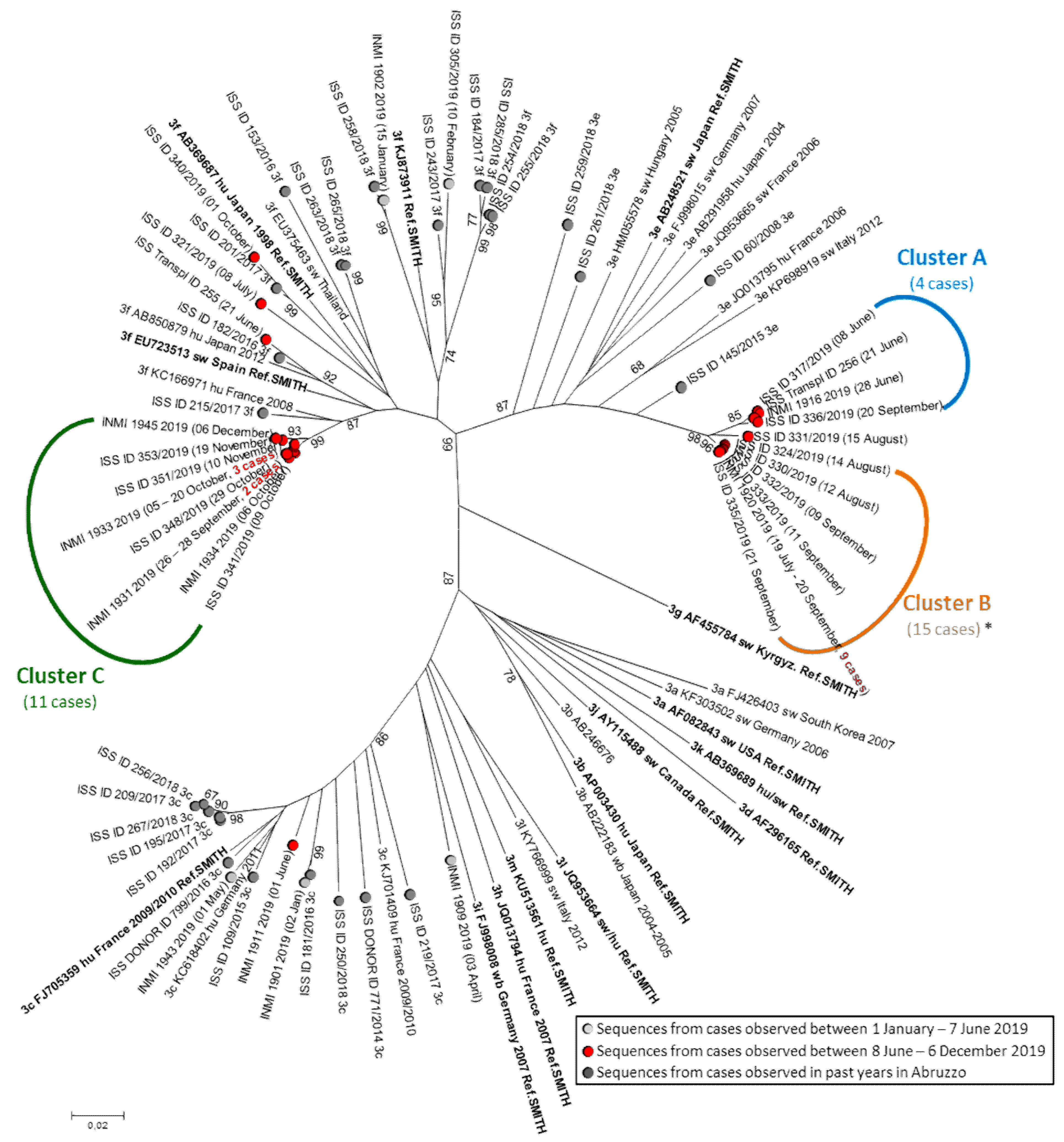 Viruses 13 01159 g001