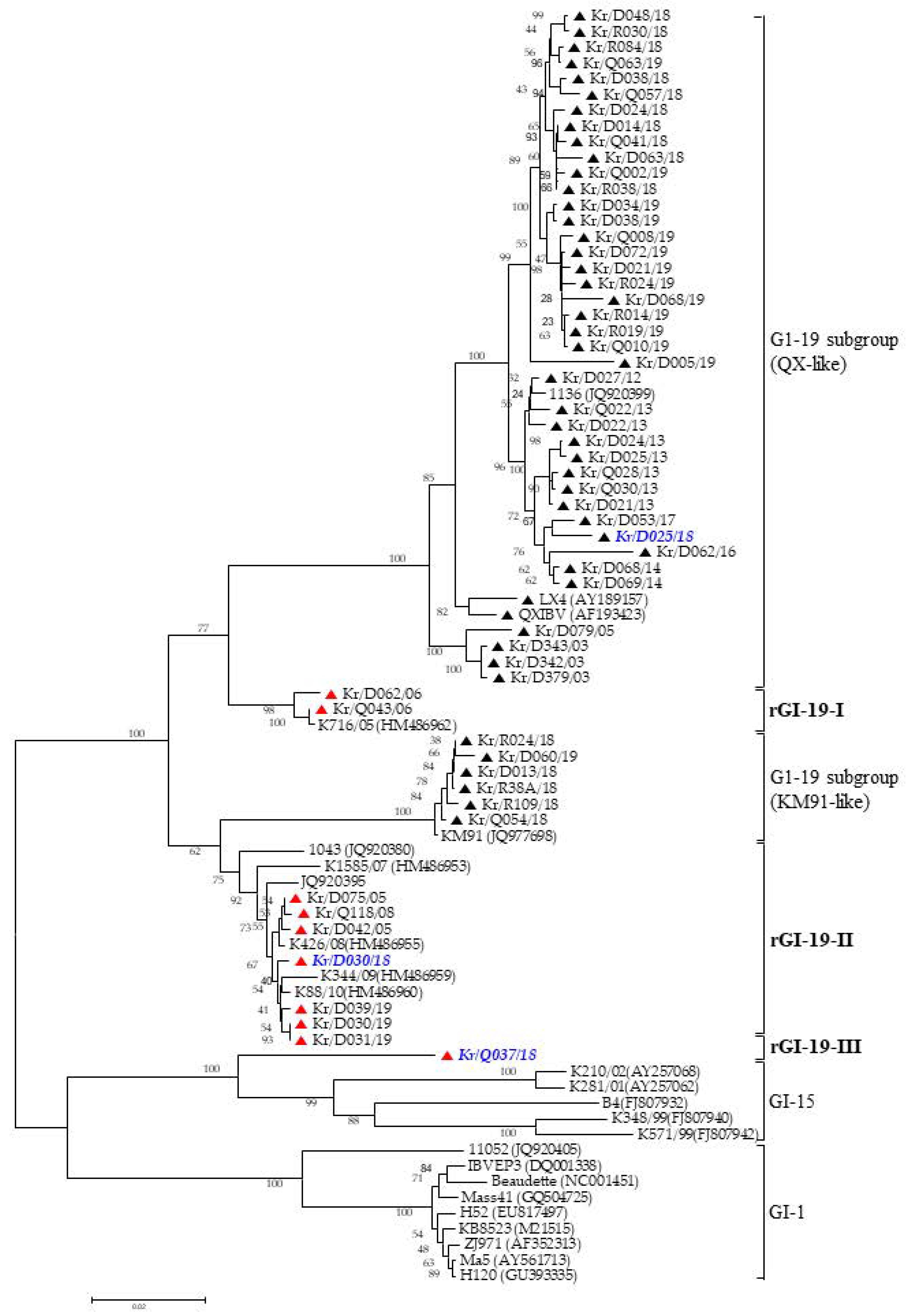 Viruses 13 01163 g001