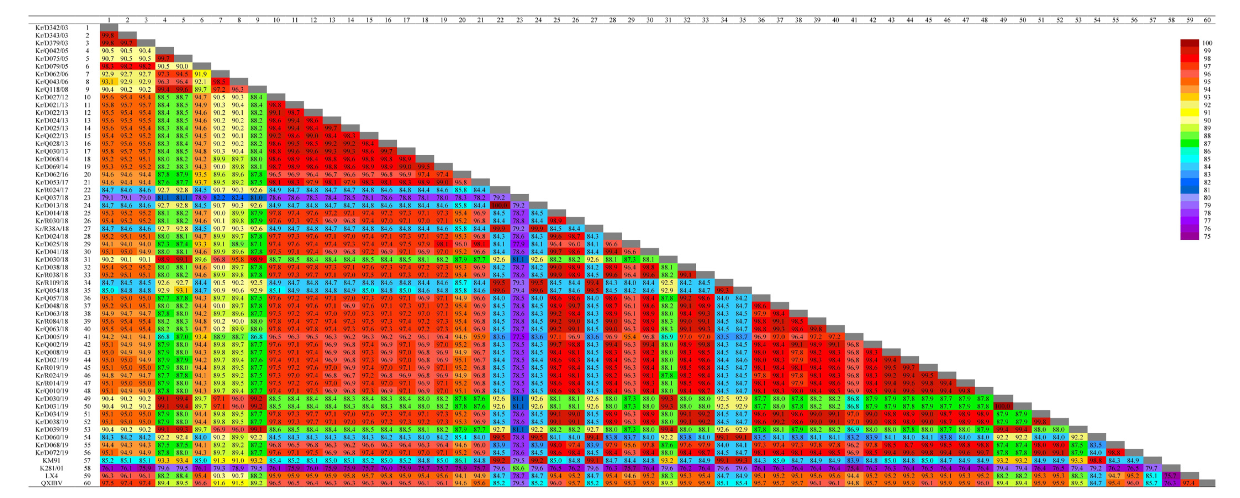 Viruses 13 01163 g002