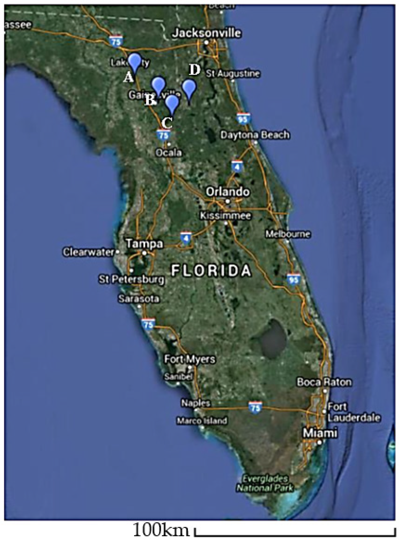 Viruses 13 01165 g001