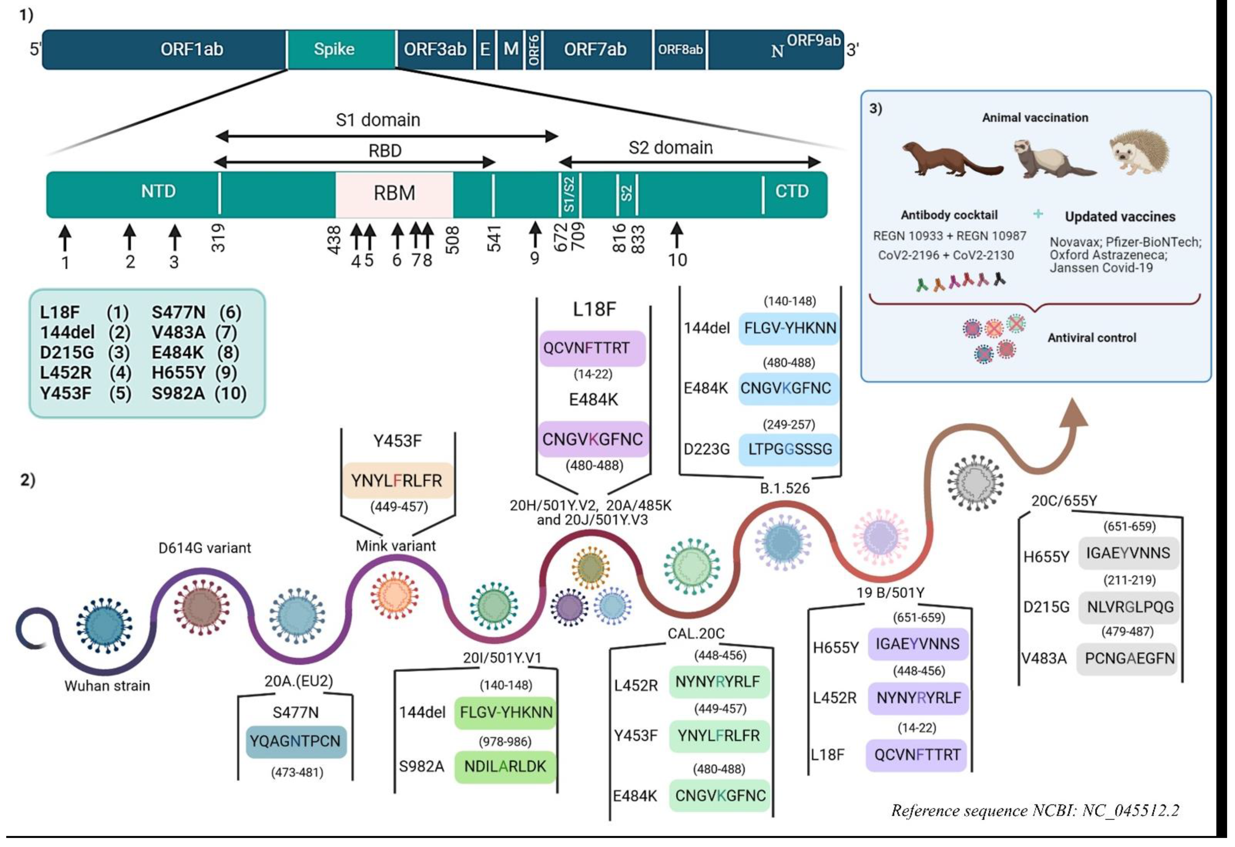 Viruses 13 01171 g002 Viruses 13 01171 g002