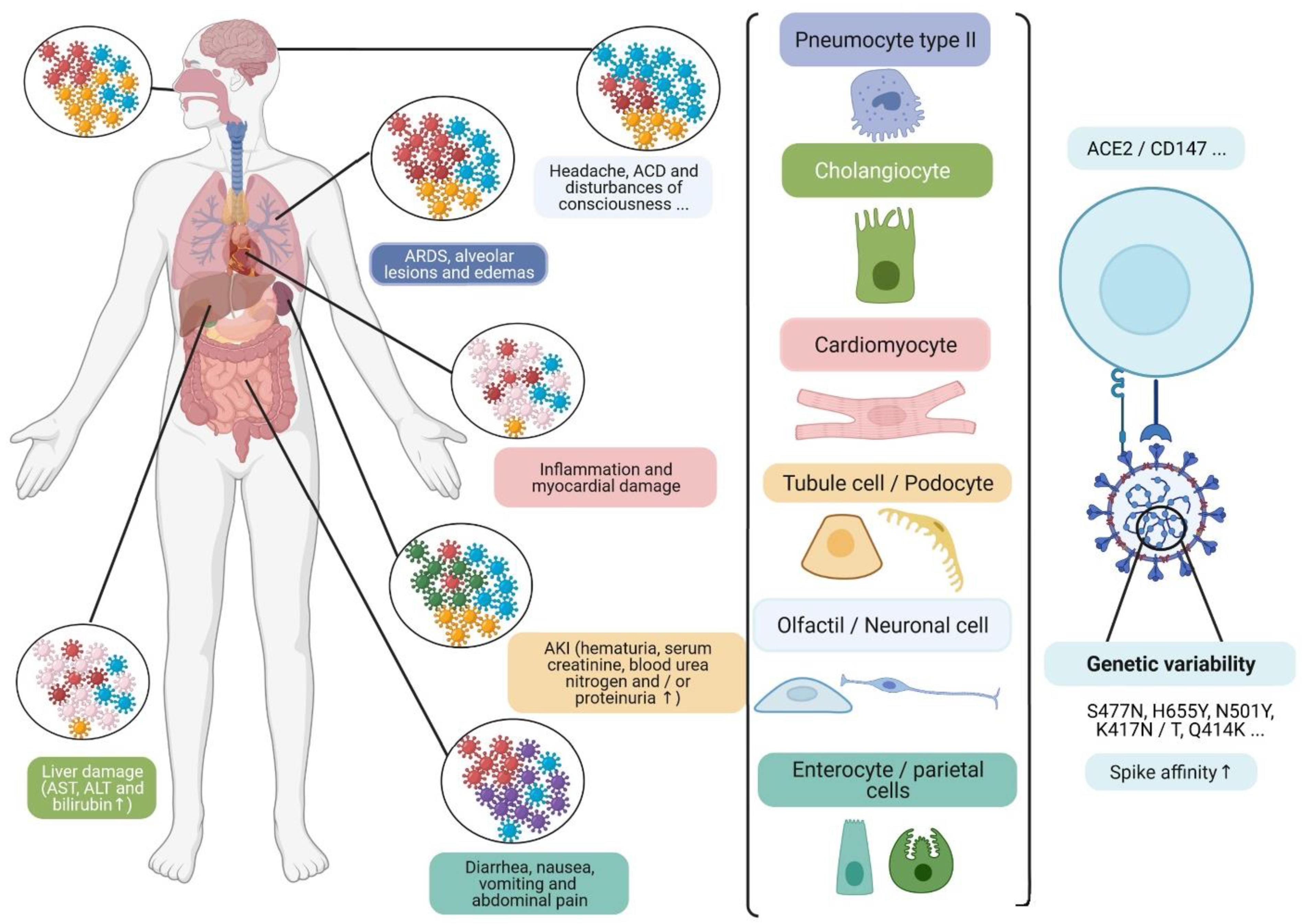 Viruses 13 01171 g003 Viruses 13 01171 g003