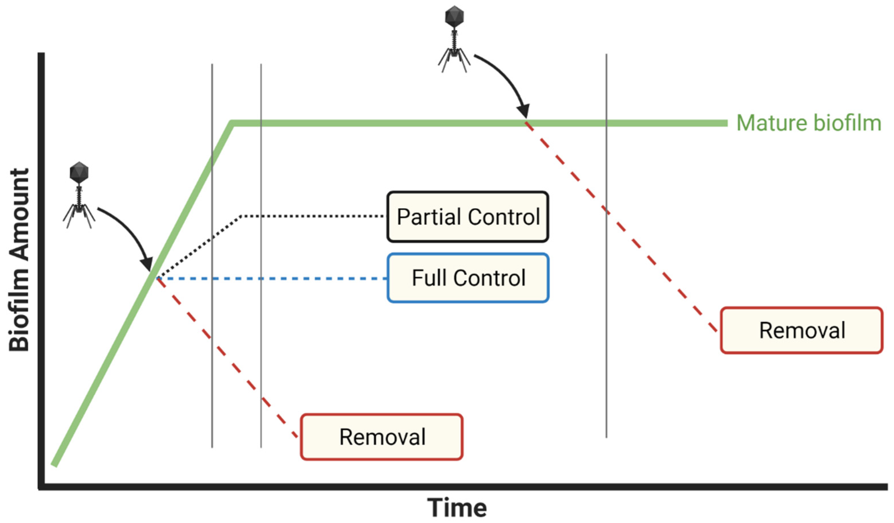 Viruses 13 01175 g002