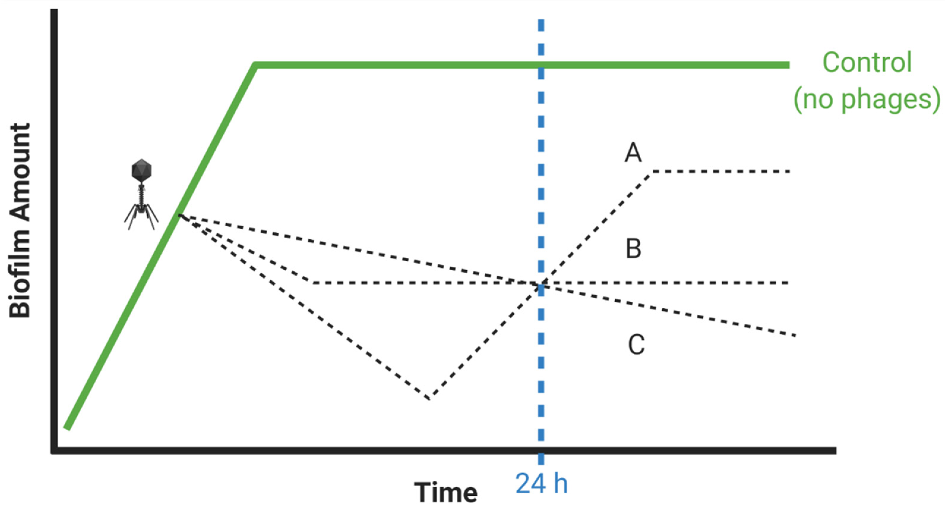 Viruses 13 01175 g005